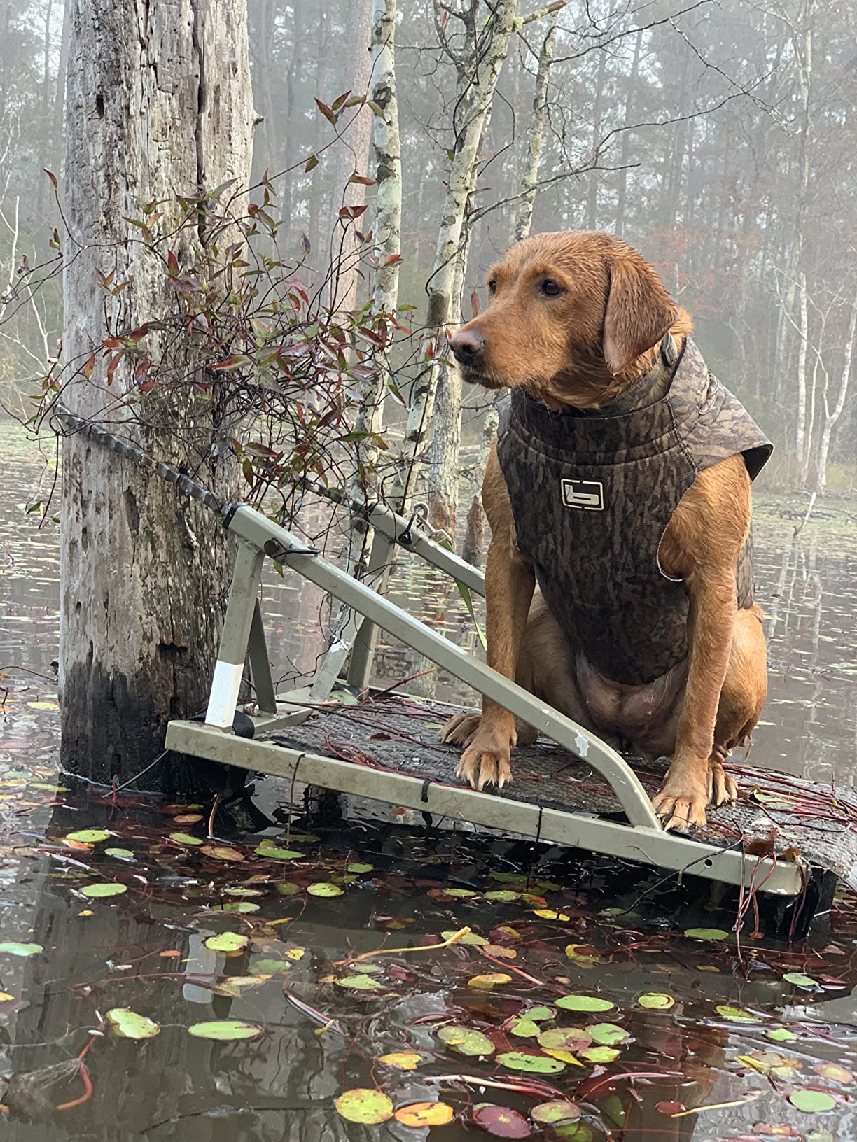 Banded Dogs' Waterfowl Hunting Warm Neoprene Floating Performance Thermoregulating 5mm Parka customer photo 1