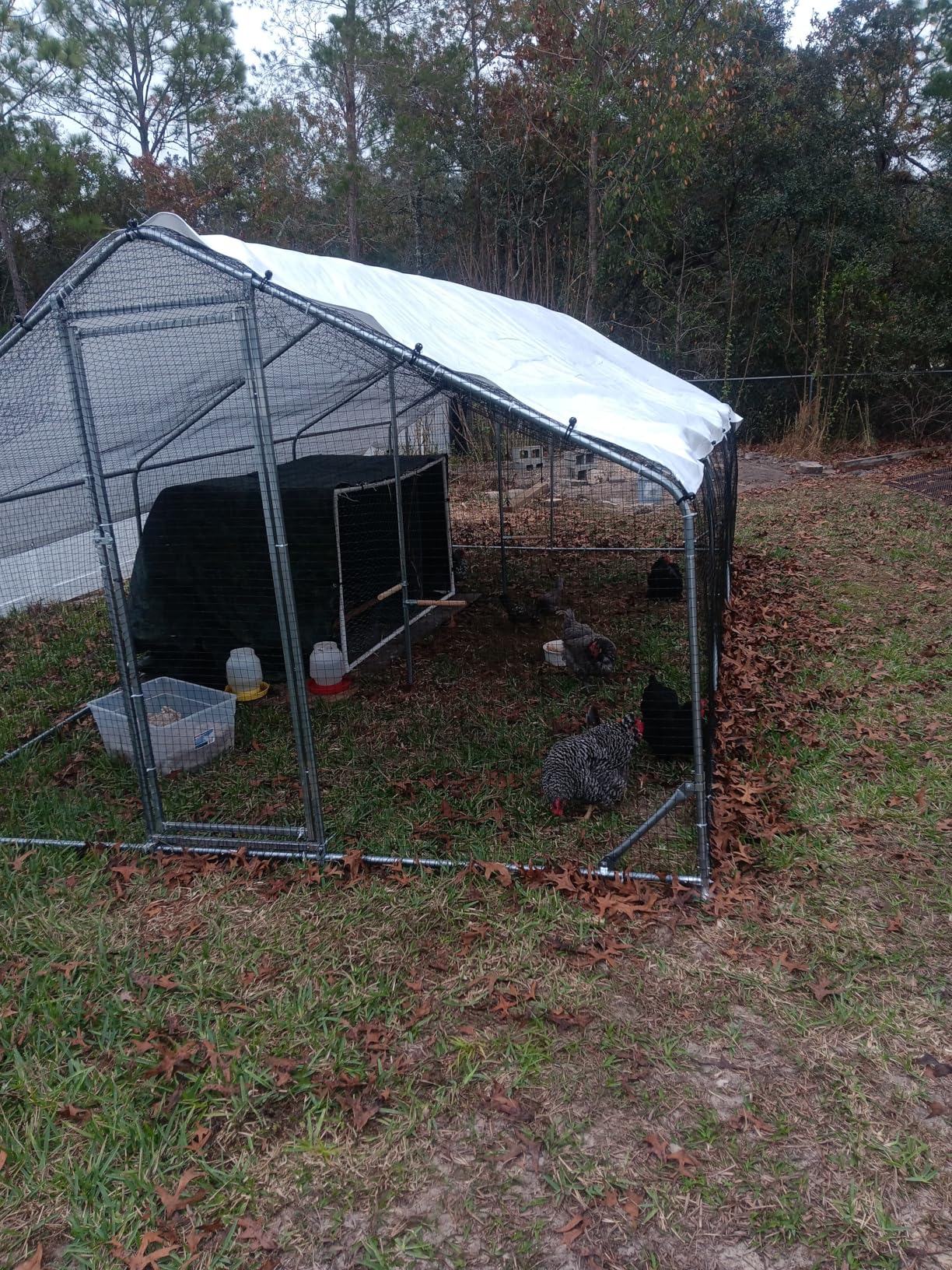 Large Walk-in Metal Chicken Coop with Chicken Run & Hardware Cloth, Solar Light, Waterproof & UV-Resistant Cover, Outdoor Poultry Cage for Farm Use, 3 Room customer photo 1