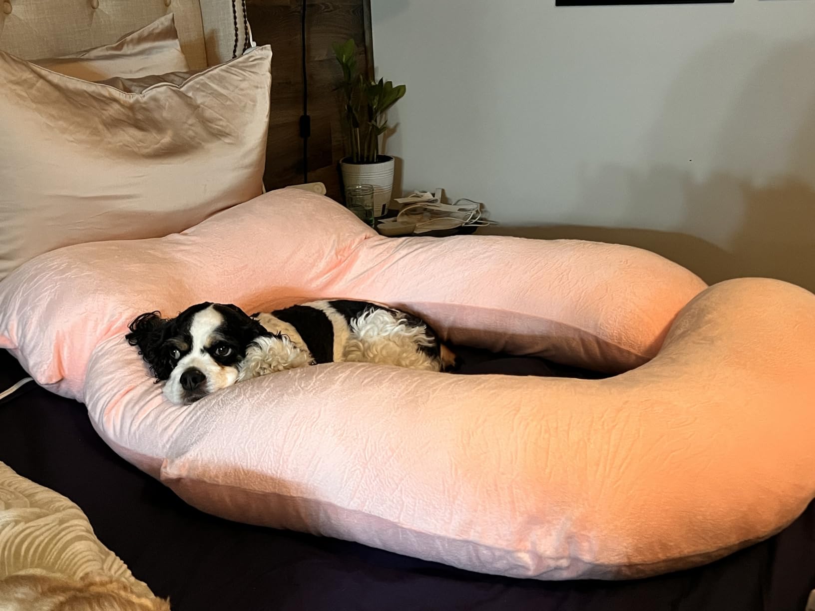 MOON PARK Pregnancy Pillows for Sleeping - 57 Inch U Shaped Full Body Maternity Pillow with Removable Cover - Support for Back, Legs, Belly, Hips - Grey customer photo 1