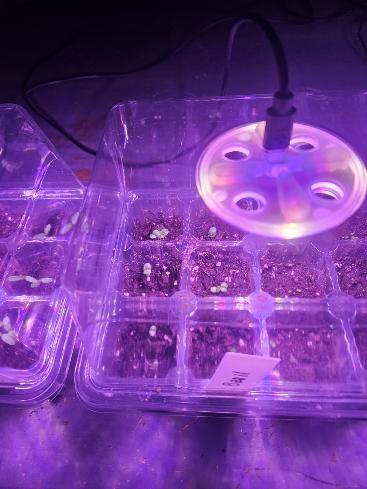 Bonviee Seed Starter Trays with 12-LED Grow Lights, Clear, 5 Pack (60 Cells) customer photo 1