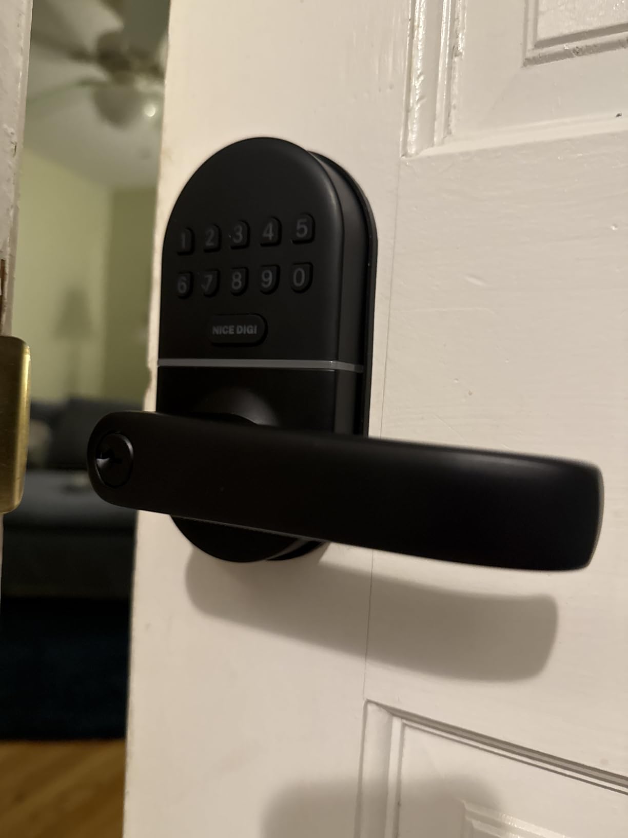 Keypad Door Lock with Handle: Keyless Entry Smart Lock for Front Door, NICE DIGI Electronic Digital Door Lock, Easy Installation customer photo 1