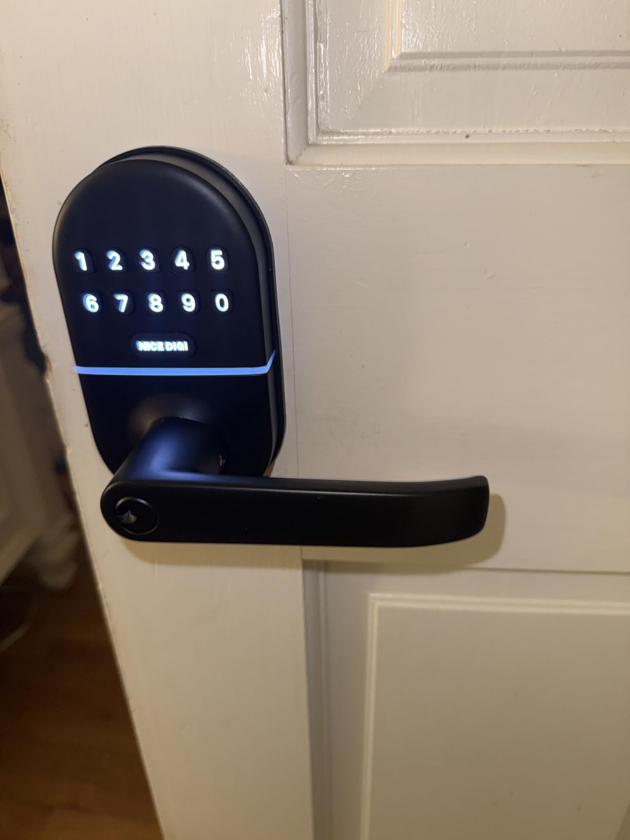 Keypad Door Lock with Handle: Keyless Entry Smart Lock for Front Door, NICE DIGI Electronic Digital Door Lock, Easy Installation customer photo 2