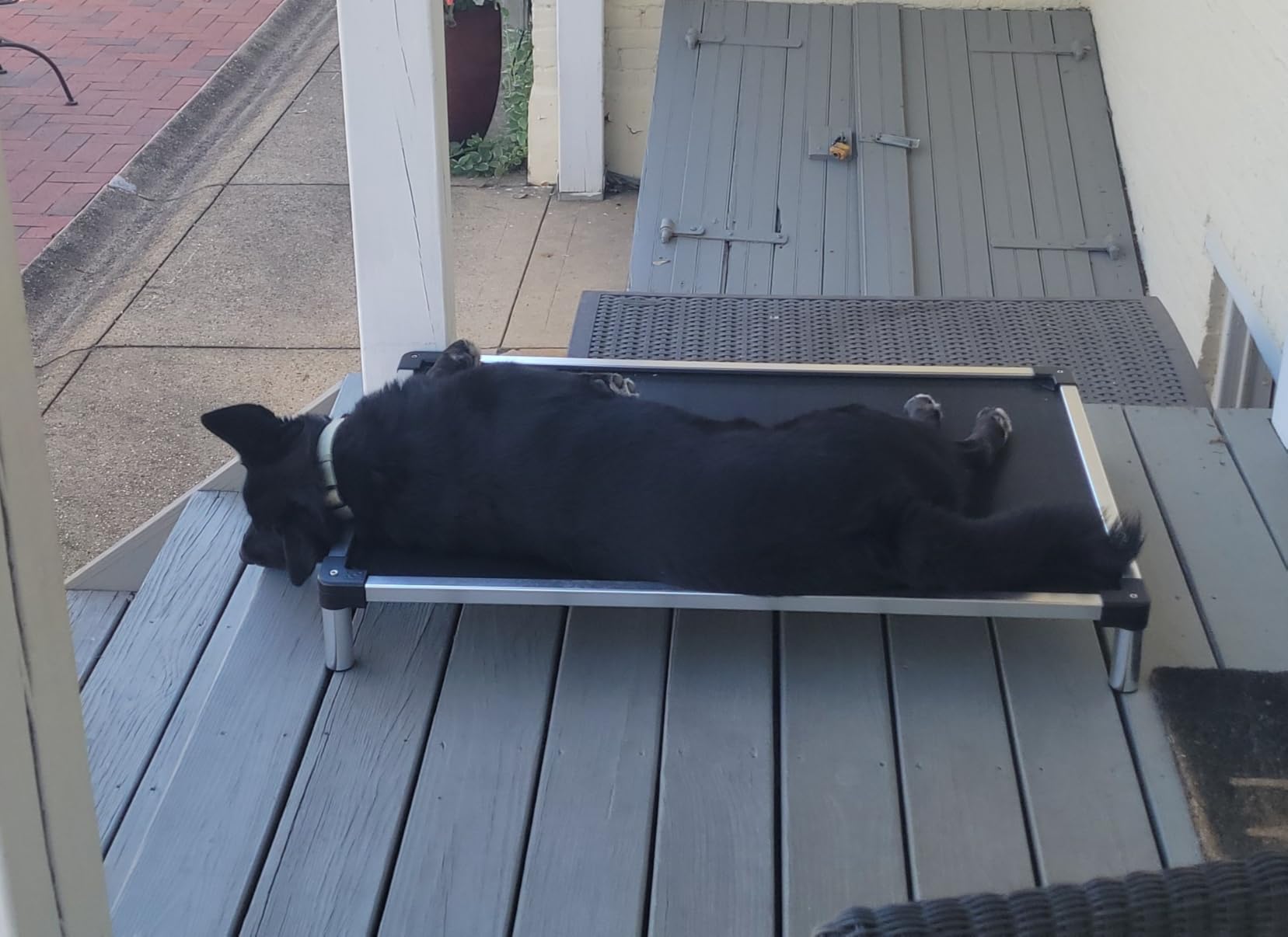 K9 Ballistics Chew Proof Elevated Outdoor Cooling Cot Bed for Large Dogs - Virtually Indestructible, Preassembled, Withstands Aggressive Chewers - L, Black Mesh customer photo 2