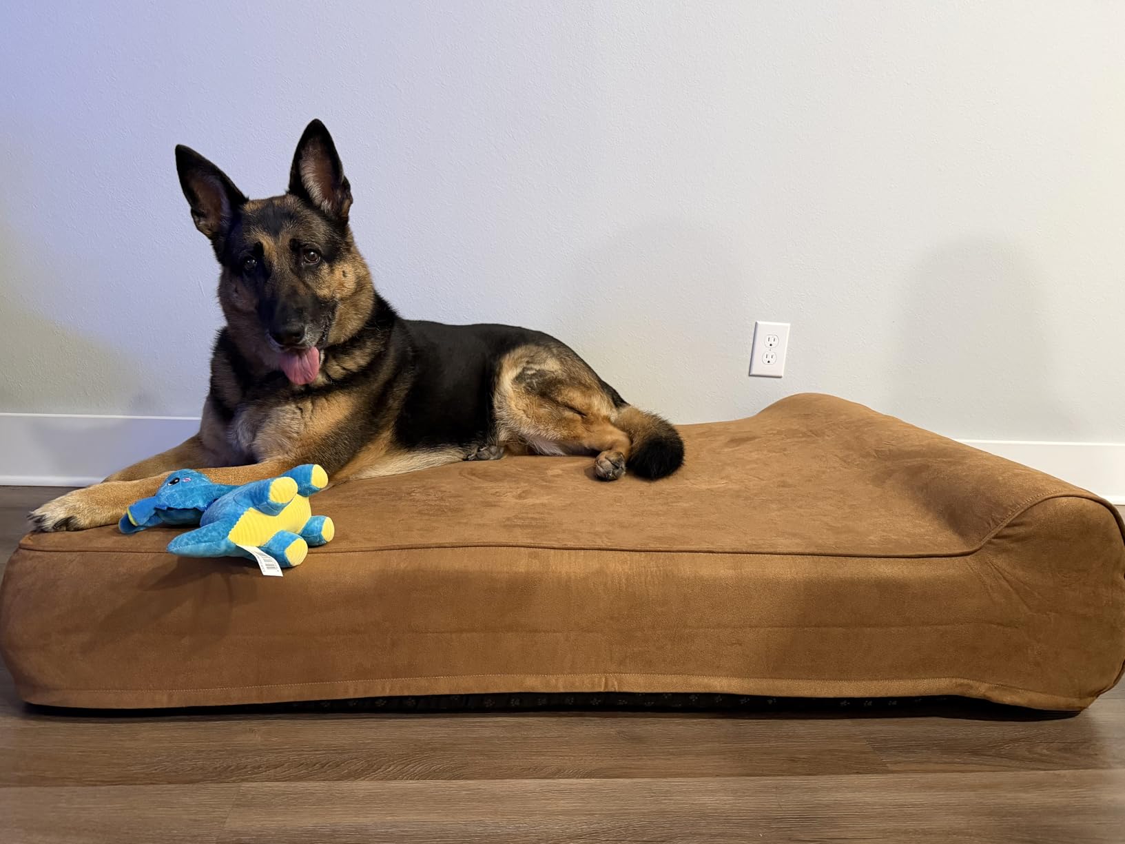 Rainmr Orthopedic Dog Beds for Large Dogs, 7