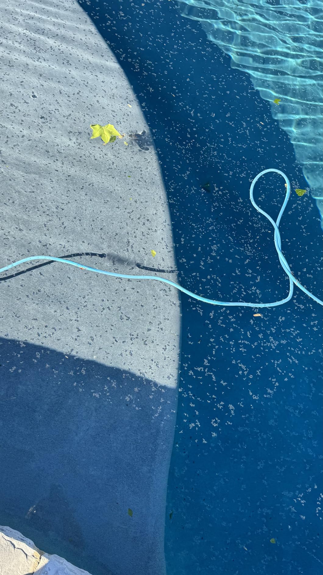 TidyMister 17.5'' Ultra Fine Mesh Pool Skimmer Net Rake for Sand Silt Pollen Debris - Super Extra Fine Nylon Cleaning Pool Net for Above Ground & In-ground Swimming Pools customer photo 1