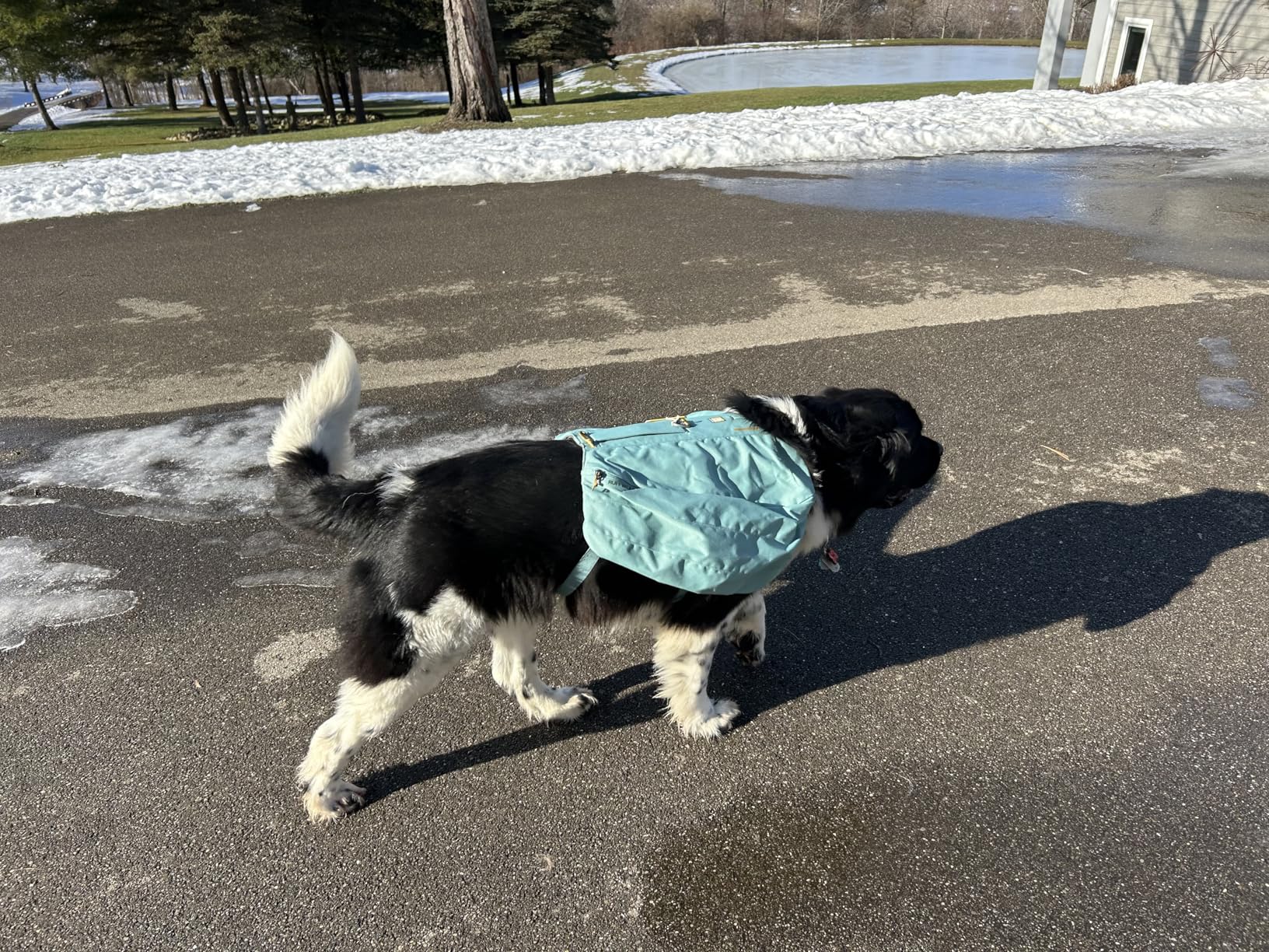 Ruffwear Front Range Day Pack, Dog Backpack with Saddlebags, 5-Point Adjustment, 3 Leash Points, Padded Handle, Internal Mesh Pockets, Reflective Trim, Light Loop, Basalt Gray, Large/X-Large customer photo 1