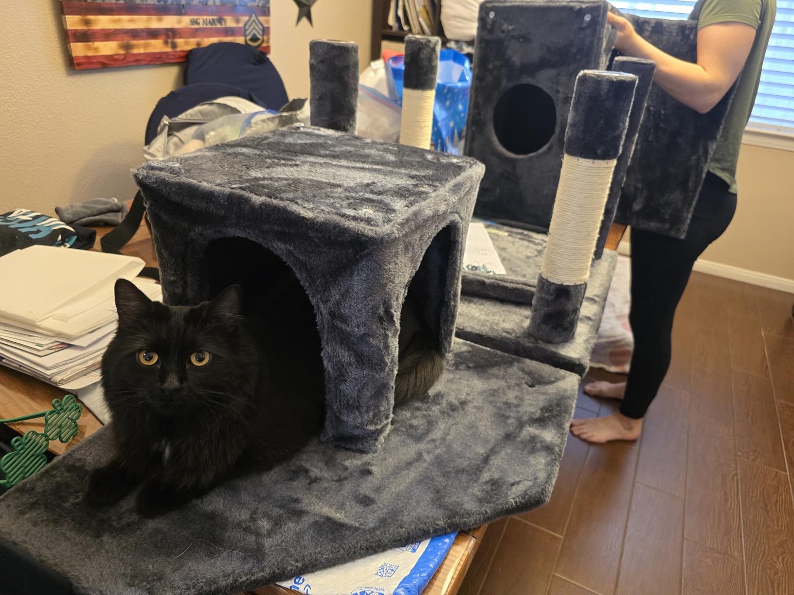 Globlazer S72 Heavy Duty Cat Trees for Large Cats 20 lbs+, Dark Gray customer photo 1