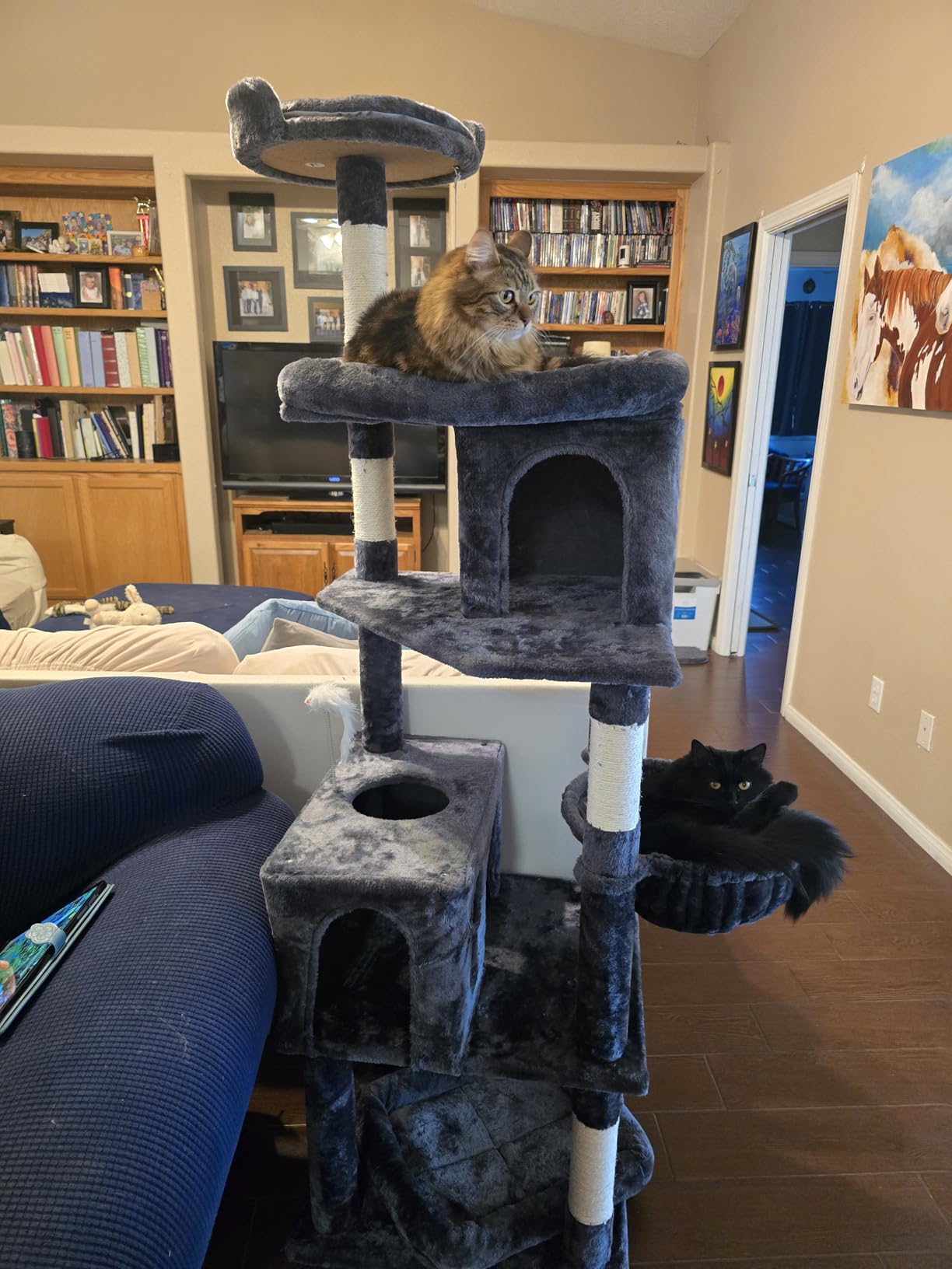 Globlazer S72 Heavy Duty Cat Trees for Large Cats 20 lbs+, Dark Gray customer photo 2