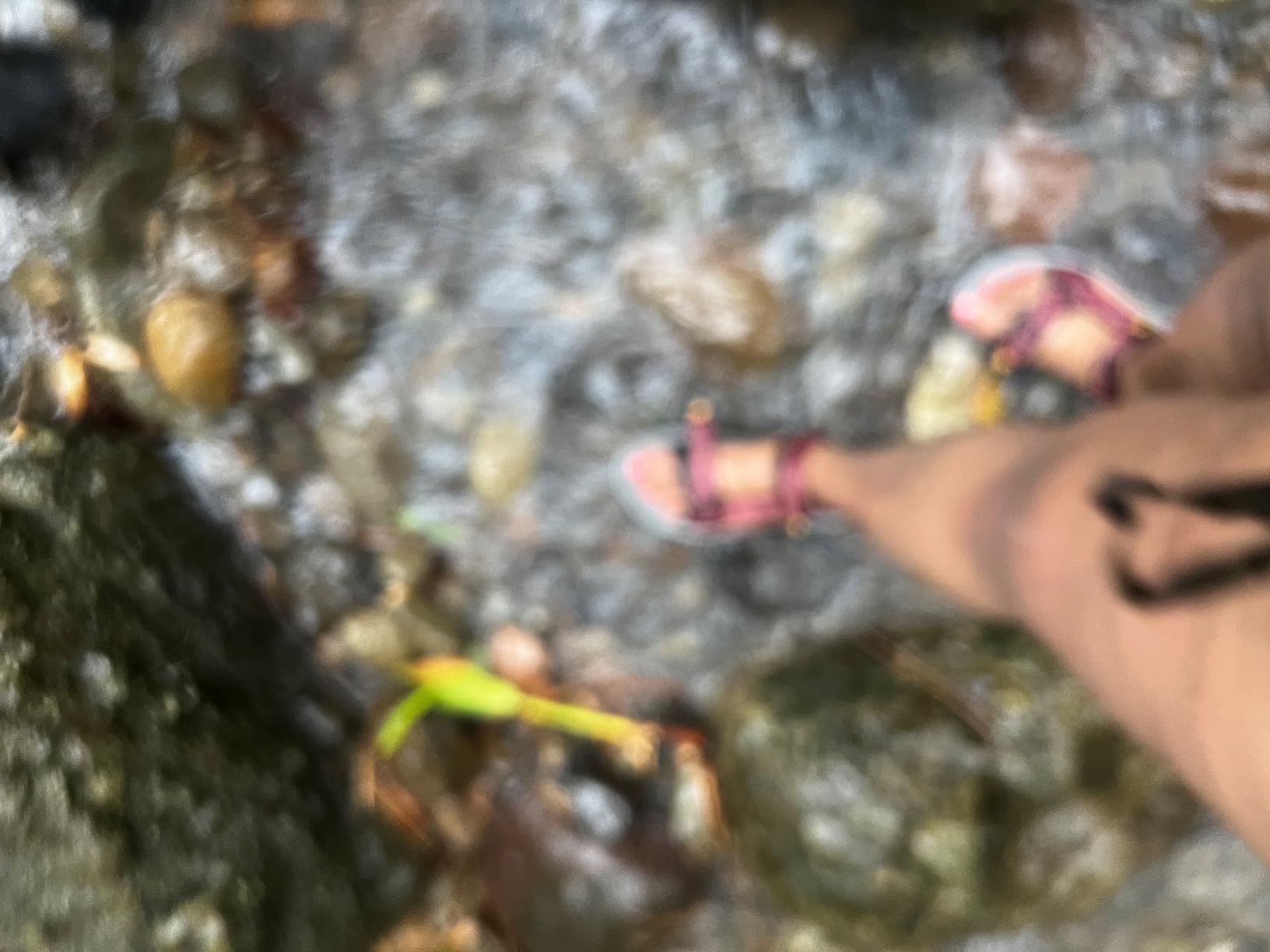 CAMEL CROWN Waterproof Hiking Sandals Women Arch Support Sport Comfortable Walking Water Sandals for Beach Travel Athletic customer photo 1