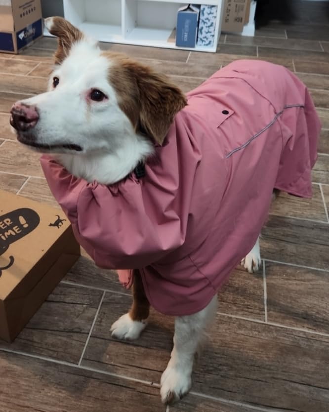 Spark Paws Dog Raincoat, Waterproof Windproof Rain Jacket, Reflective Breathable Full-Body Coverage Dry Suit customer photo 1