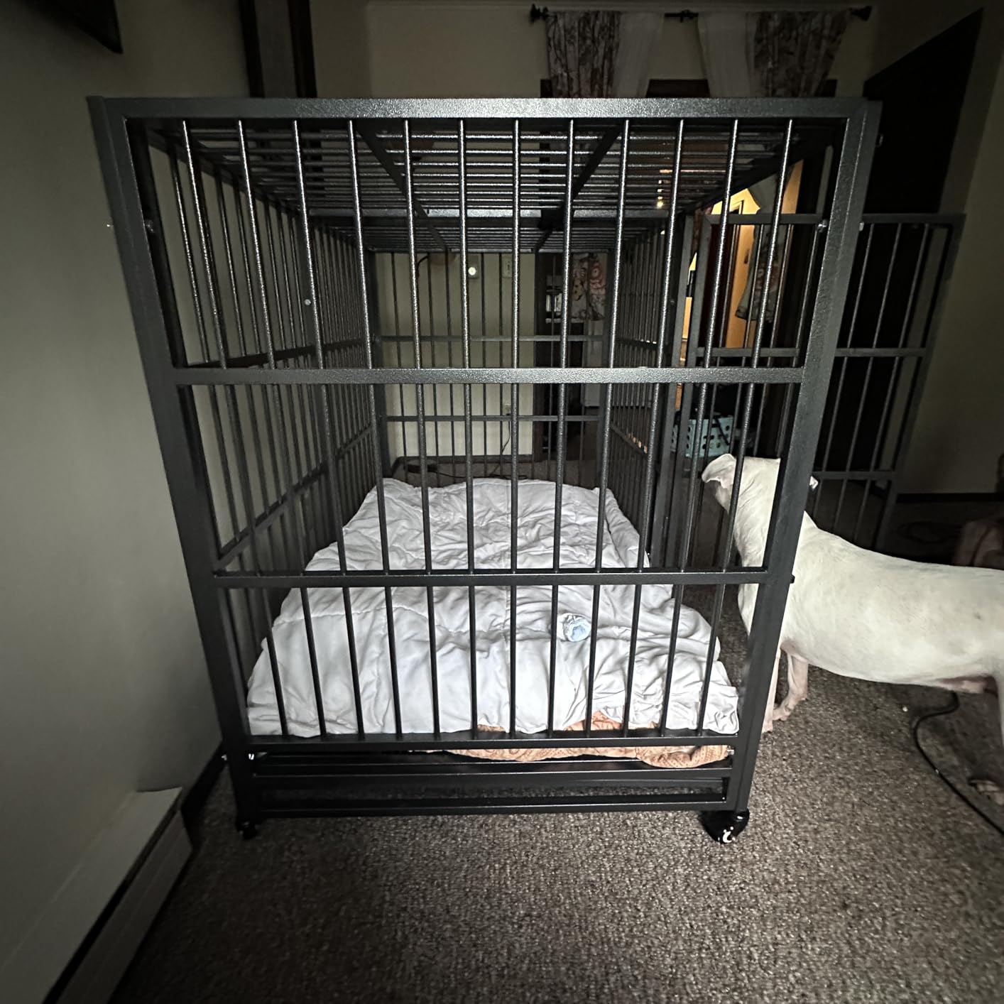 BOLDBONE 54 inch Heavy Duty Indestructible and Escape-Proof Dog Crate Cage Kennel for Large Dogs, High Anxiety Dog Crate with Removable Wire Trays and Wheels, Extra Large XL XXL, Black customer photo 1