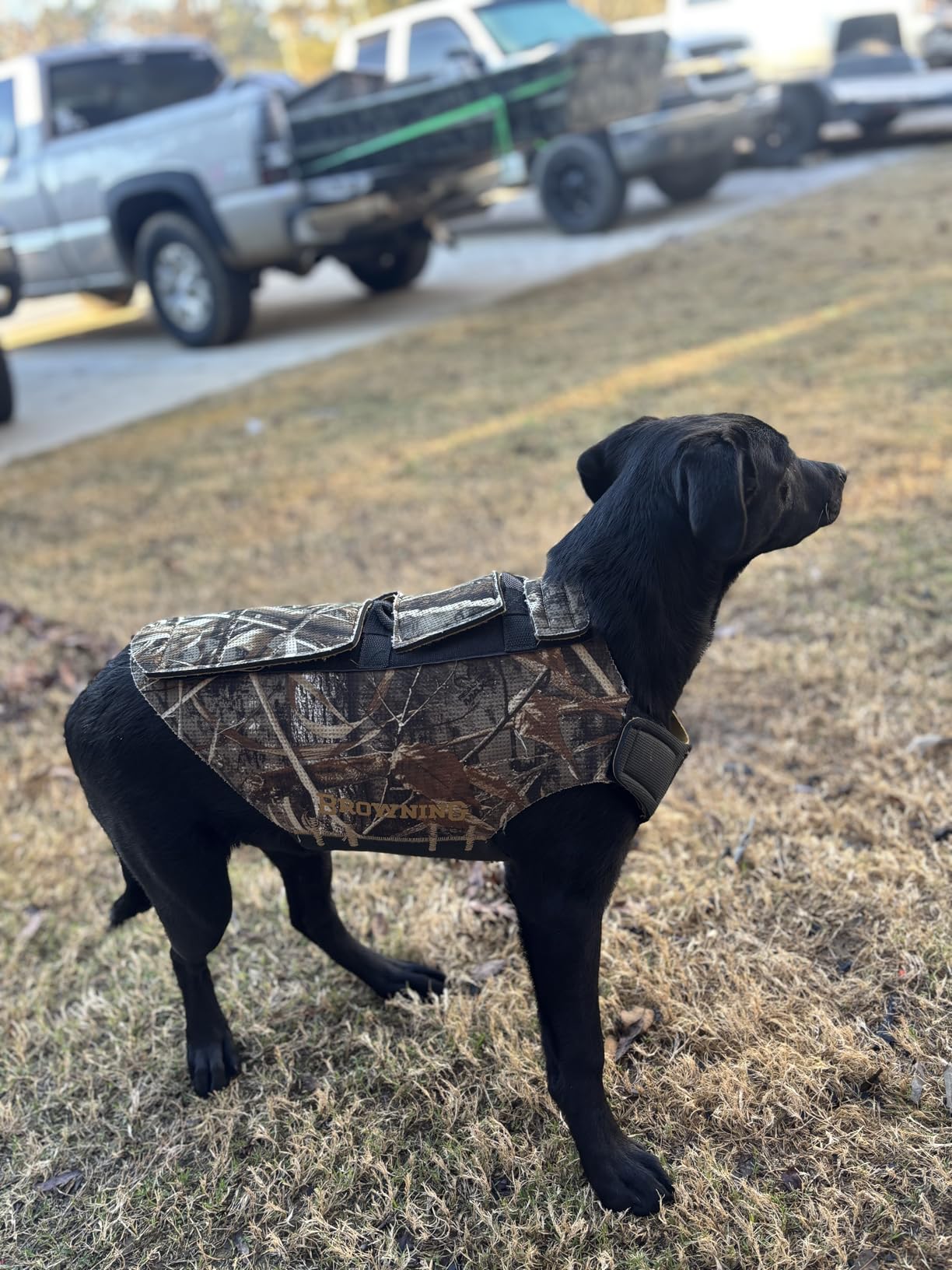 Browning Camo Neoprene Dog Vests, Full Coverage Hunting Dog Vest with Flexible Chest Plate, Realtree MAX-5 (5mm), Medium customer photo 1