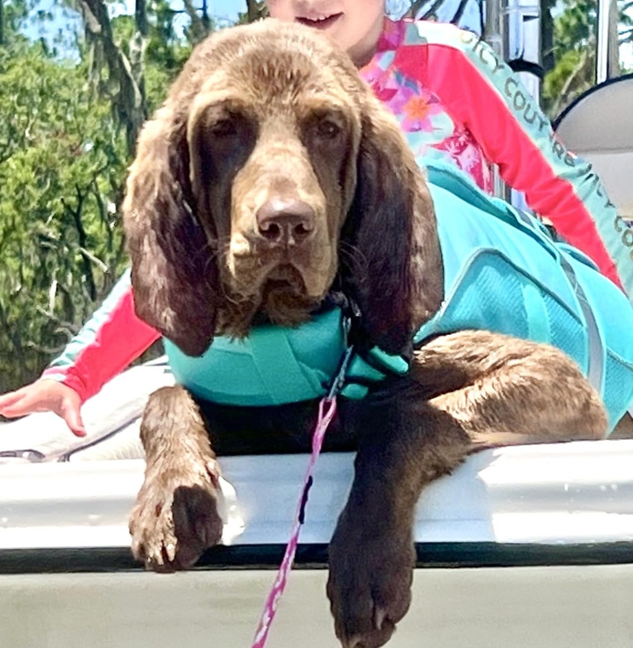 Queenmore Dog Life Jacket, Adjustable Ripstop Dog Life Vest for Swimming Boating, Doggy Lifesaver with Superior Buoyancy and Rescue Handle, Pet Swimming Vest for Large Dogs (Green, L) customer photo 1