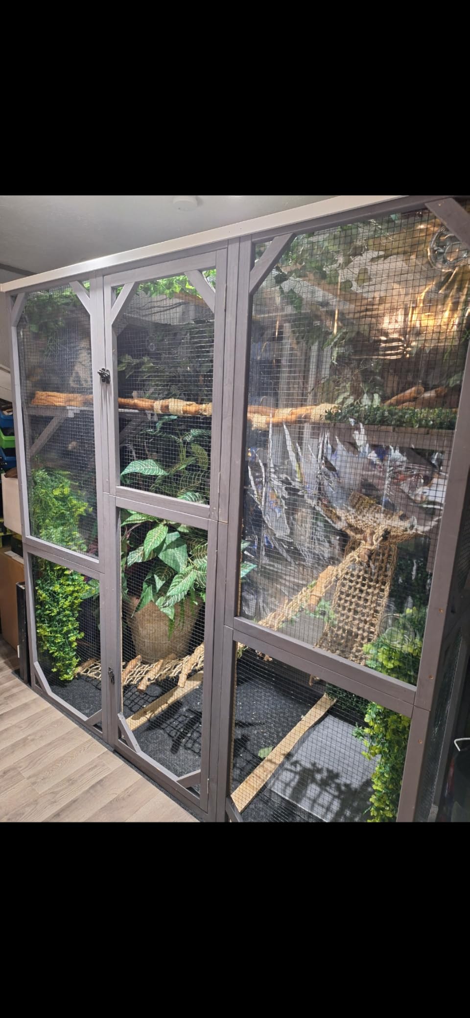 Aivituvin Catio Outdoor Cat Enclosure with 7 Platforms, 2 Resting Boxes, Large Window Cat House for 4-6 Multiple Cats Walk in Kitty Cage with Weatherproof Tarp Roof 70