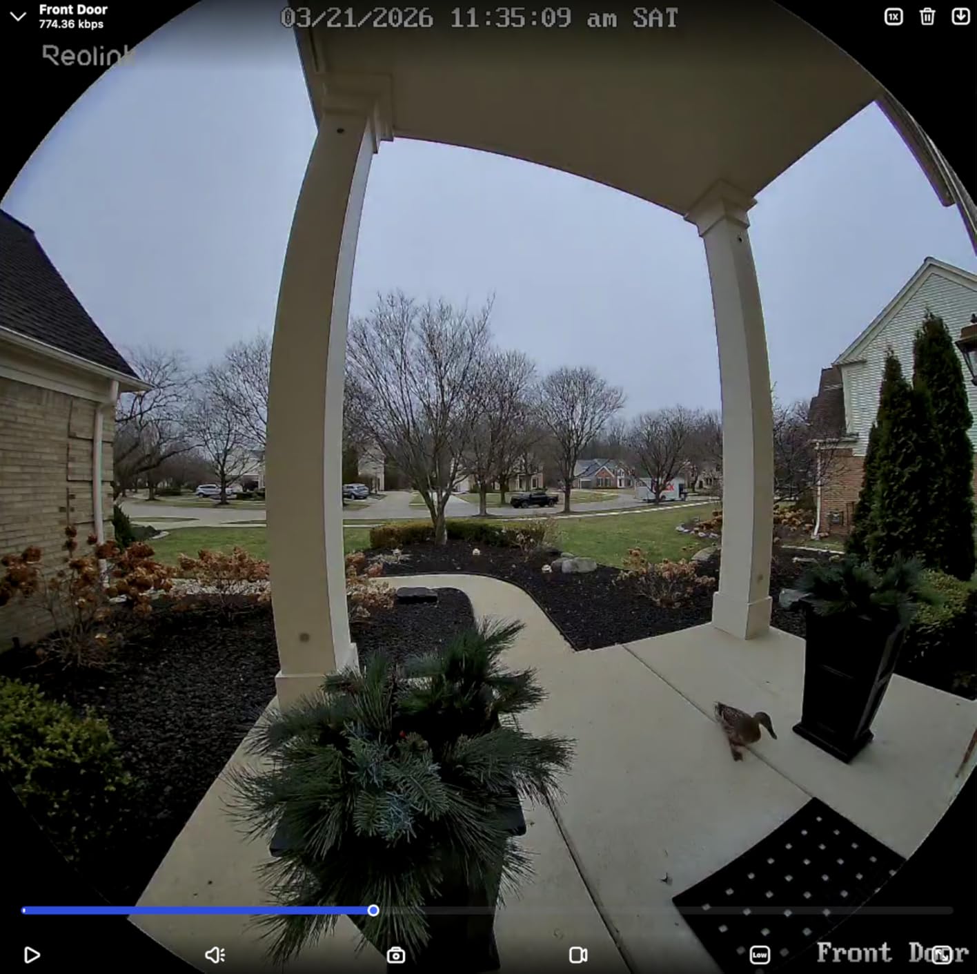 REOLINK 2K Battery Video Doorbell Camera, 150°x150° Head-to-Toe View, 2.4/5 GHz WiFi, Local Storage, No Monthly Fee, Two-Way Talk, Person/Vehicle/Package Detection (Chime not Included) customer photo 2