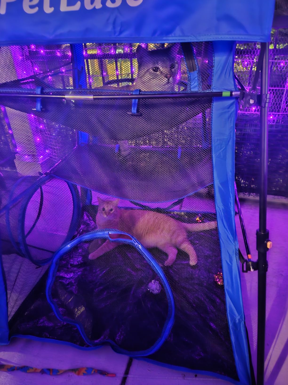 Catio Outdoor Cat Enclosure, 3-in-1 Extra Large Portable Cat Playpen with Tower Tent & Tunnel, Foldable Waterproof Mesh Catio for Indoor Outdoor Cats & Small Pets customer photo 2