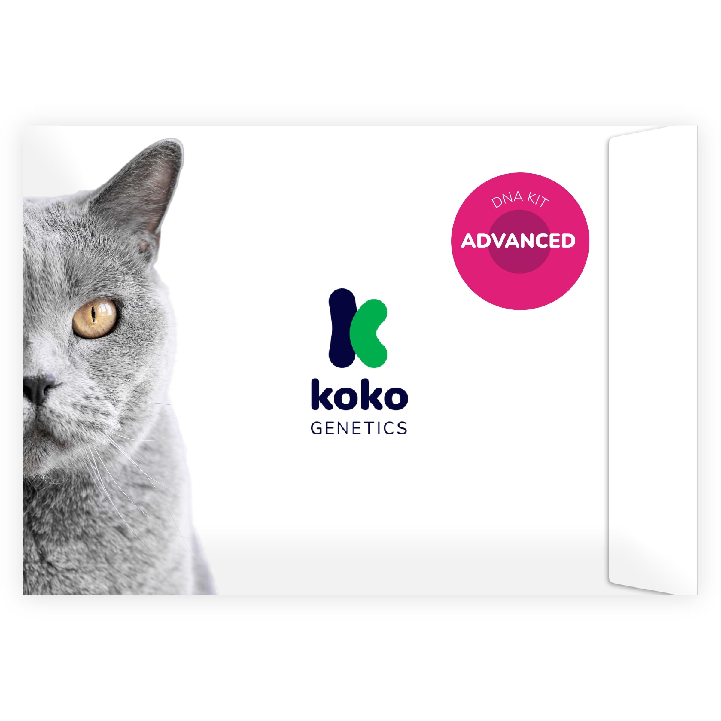 Koko Genetics DNA Test for Cats Advanced - (+150 Reports of Breeds, Health and Traits) - Upgrades at no cost customer photo 1