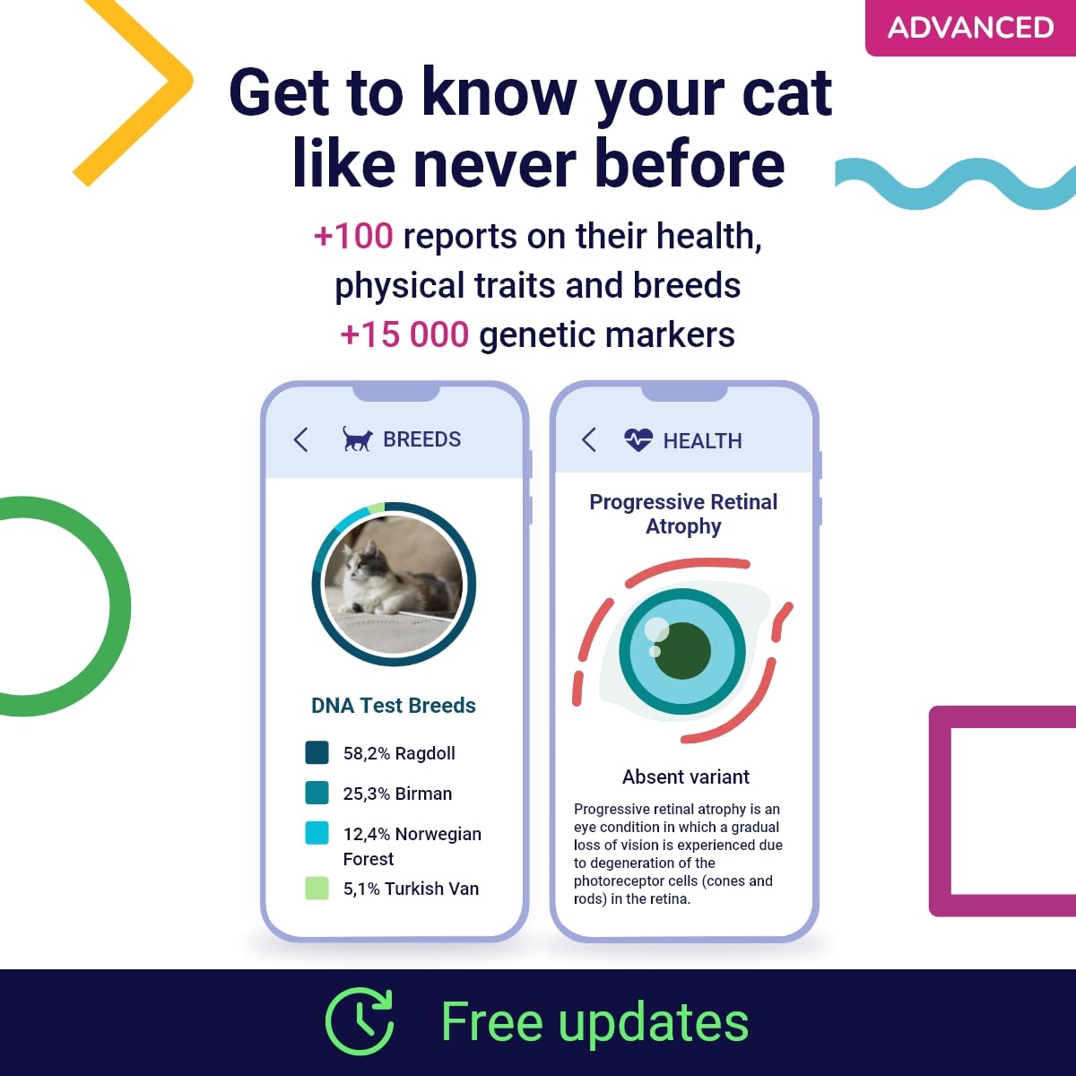 Koko Genetics DNA Test for Cats Advanced - (+150 Reports of Breeds, Health and Traits) - Upgrades at no cost customer photo 2