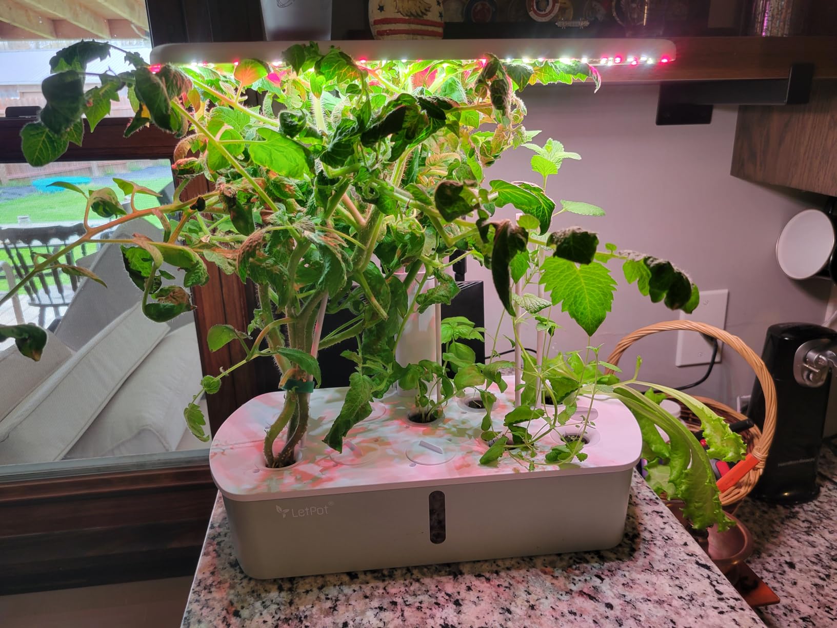 LetPot LPH-Air Hydroponics Growing System Kits, APP & WiFi Controlled Smart Indoor Garden with Adjustable 24W Grow Light Full Spectrum, 10 Pods Planter Indoor Gardening customer photo 1