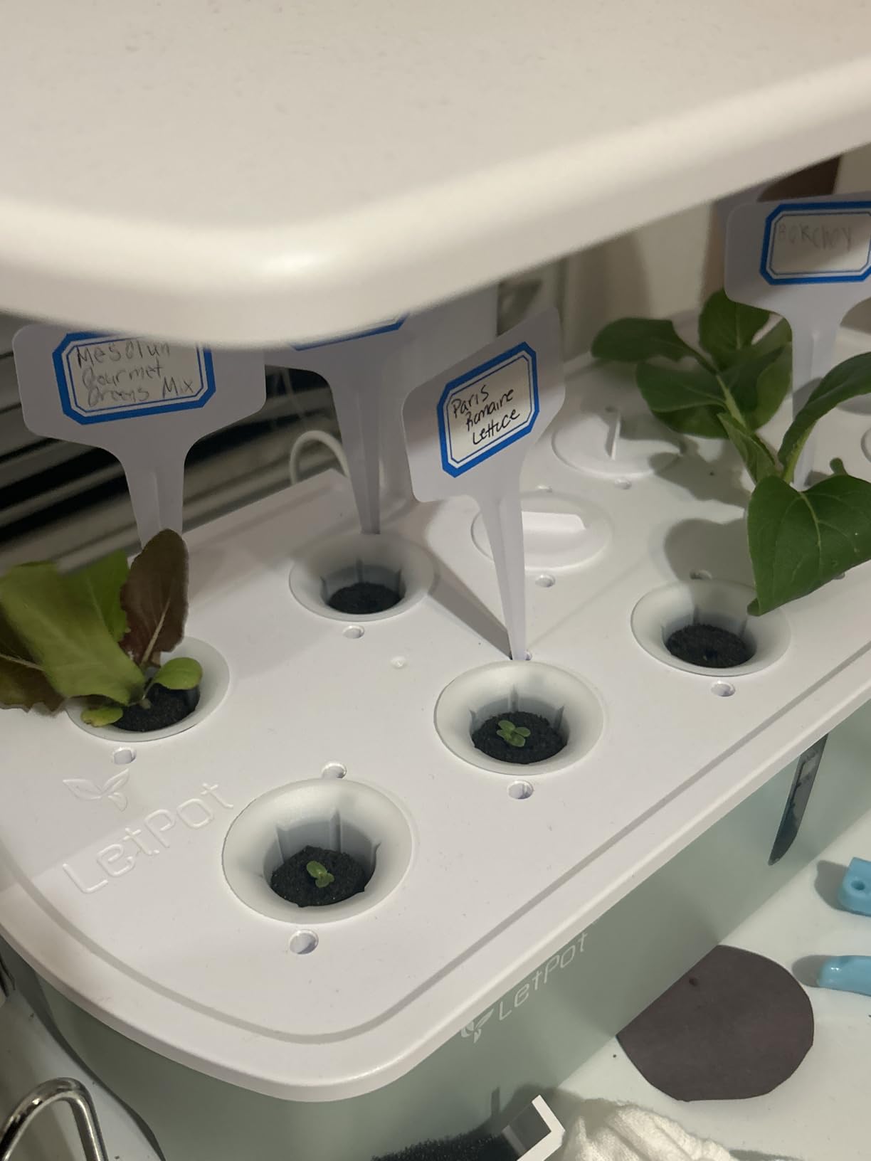 LetPot LPH-Air Hydroponics Growing System Kits, APP & WiFi Controlled Smart Indoor Garden with Adjustable 24W Grow Light Full Spectrum, 10 Pods Planter Indoor Gardening customer photo 2