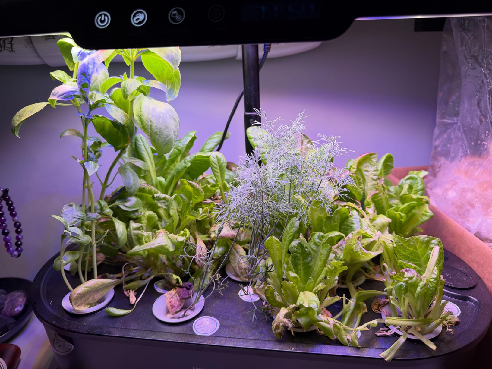Ahopegarden Hydroponics Growing System kit: 12 Pods Indoor Herb Garden with Smart Environmental Detection customer photo 1