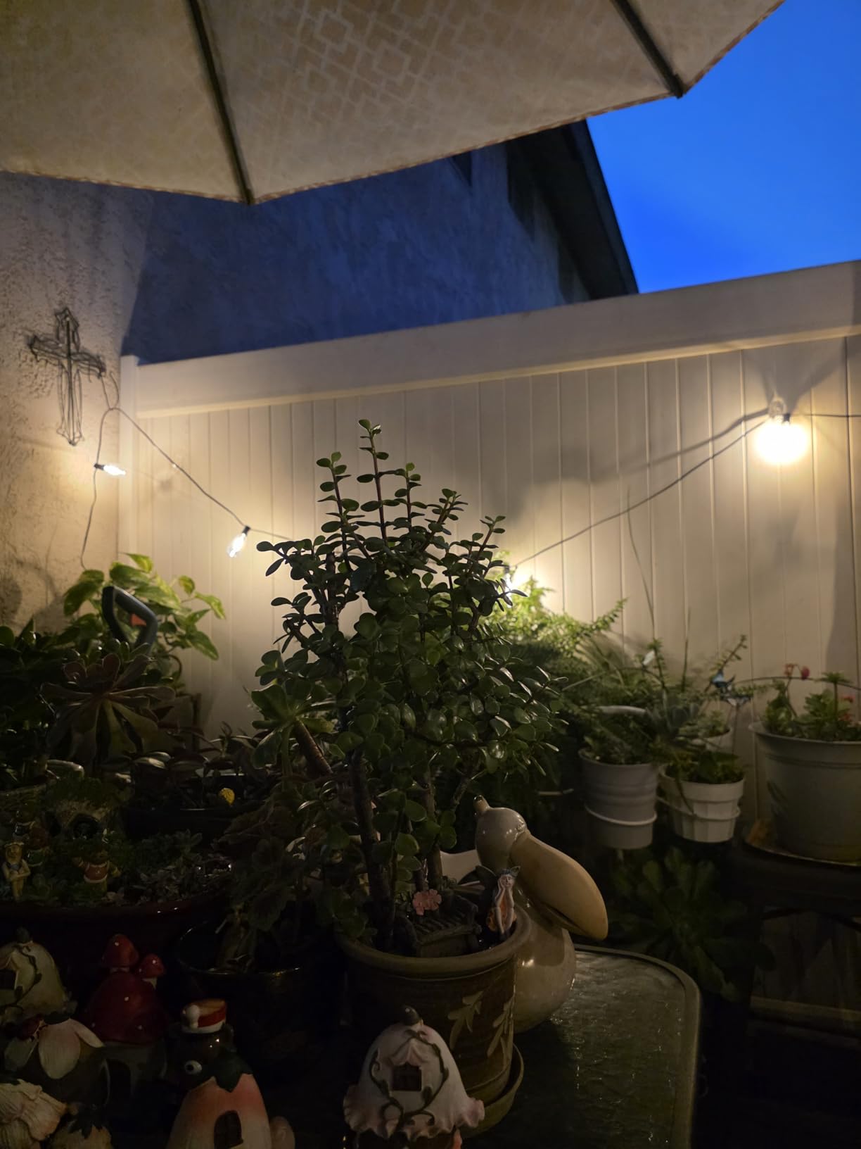 Larkvue 25FT Outdoor String Lights, Patio Lights with 10+1 LED Dimmable Waterproof Shatterproof ST38 Retro Edison 2700K Bulbs for Balcony Yard, Black customer photo 1
