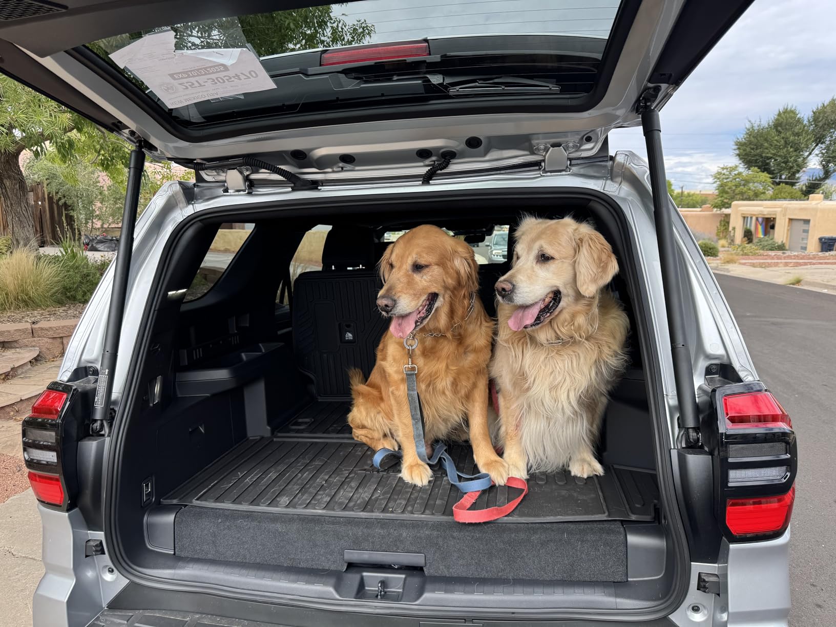 PetThem Dog Ramp for Car 71