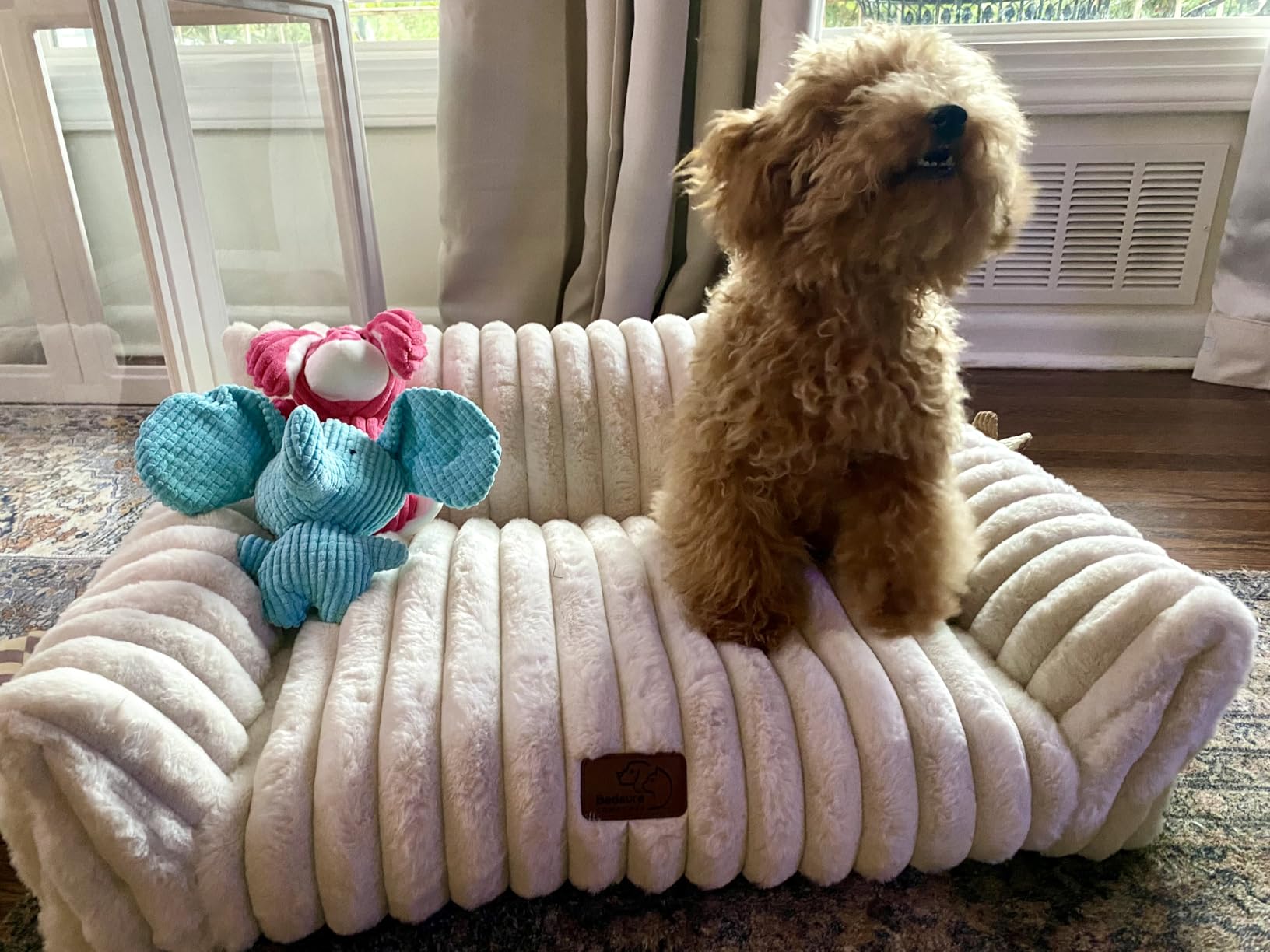 Bedsure ComfyFleece Cute Dog Couch for Medium Dogs - As Seen on TV on Good Day New York, Dog Couch Bed with Removable, Washable Cover, Supportive Pet Sofa, for Medium Large Dogs, 36inch, Cream customer photo 1