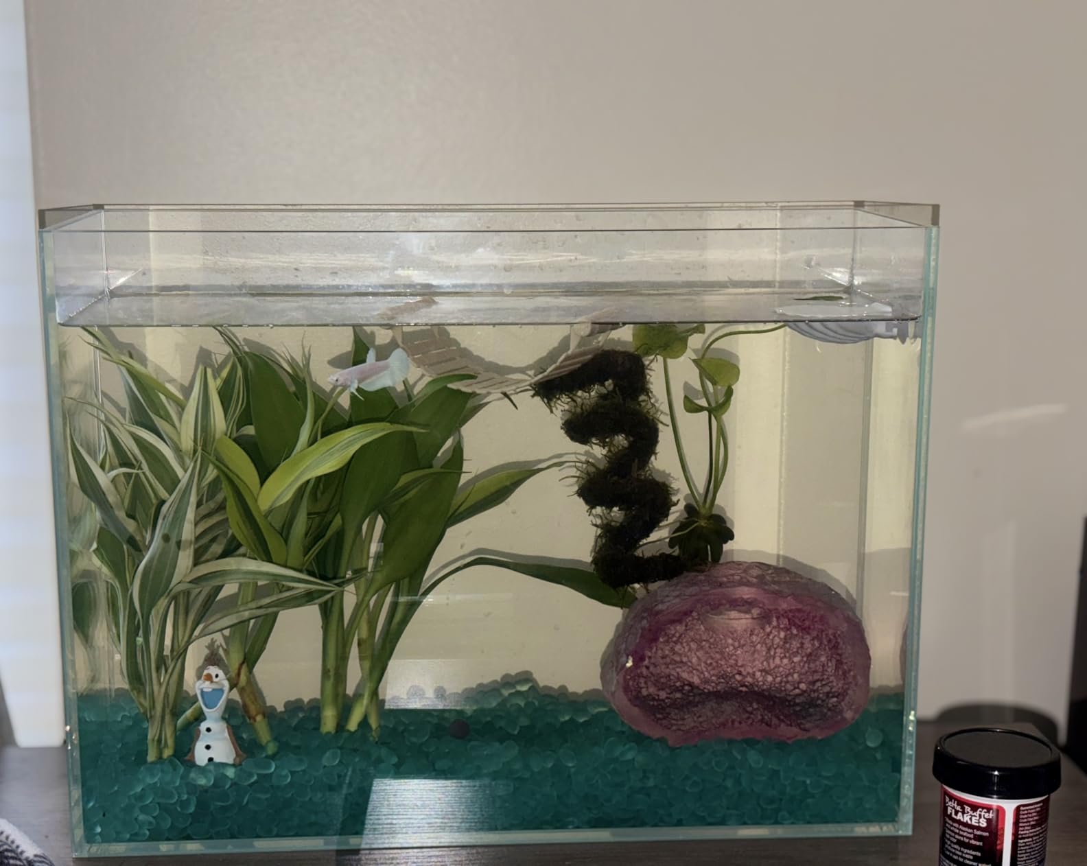 Ultra Clear Glass Fish Tank 10 Gallon, 6mm Thickened Rimless Aquarium Tank Low Iron, Standard Aquarium 17.7in x 11.8in x 11.8in customer photo 2