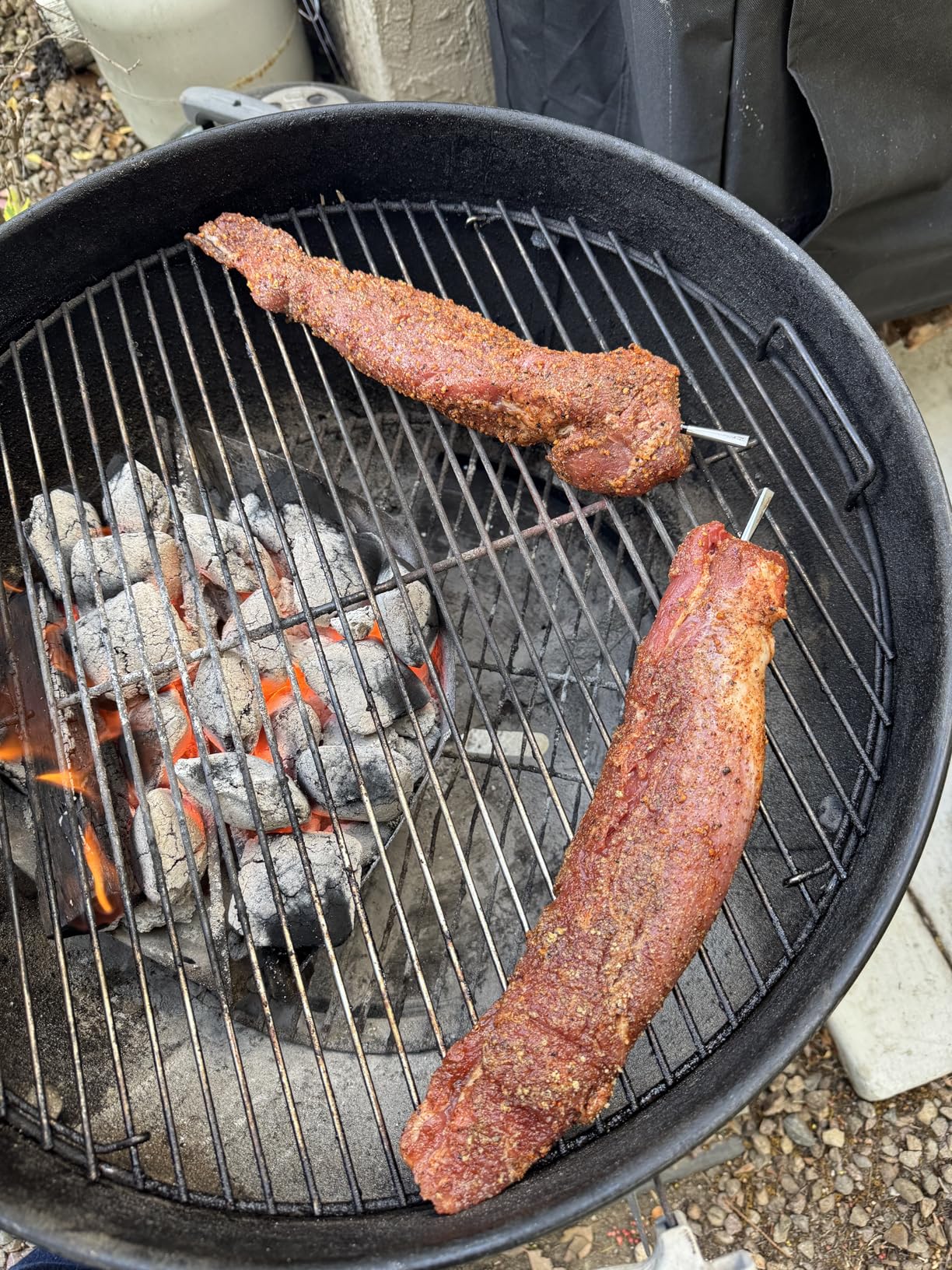 MEATER Pro XL: Wireless Smart Meat Thermometer customer photo 1