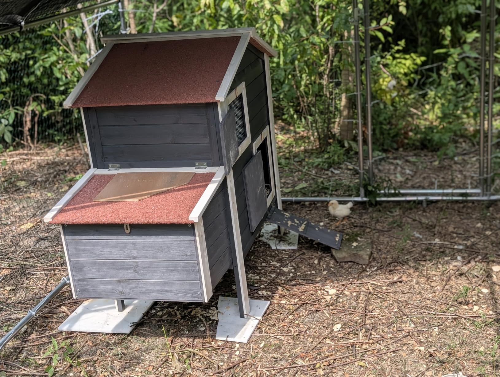 Large Metal Chicken Coop, Chicken Runs for Yard with Cover Walk-in Poultry Cage for 10 20 Chickens, Chicken Pen Duck Coop with Water-Resistant Top and Feeding Door, Spire Hen House 12.8Lx9.84Wx6.6H FT customer photo 1
