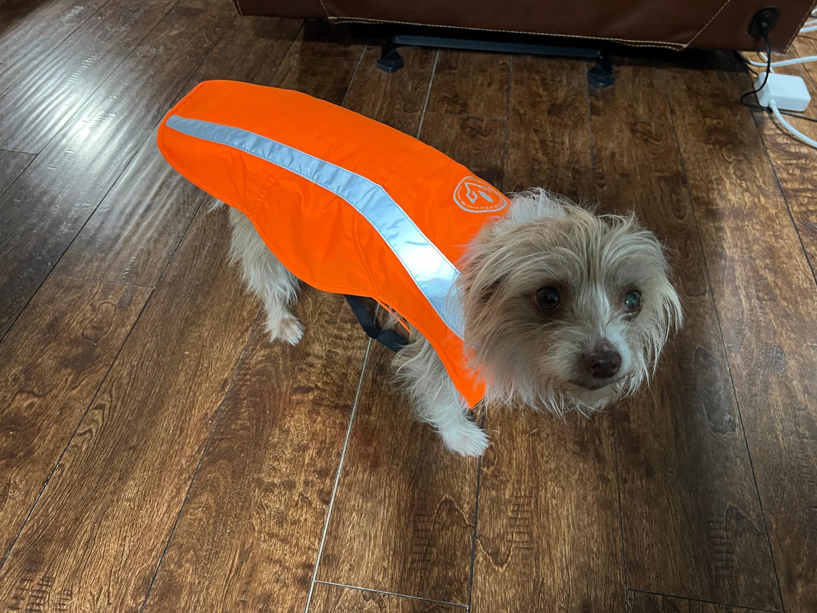 BASSDASH Dog Insulated Coat Safety Vest Water Resistant Chest Protection Reflective High Visibility for Hunting Outdoor customer photo 2