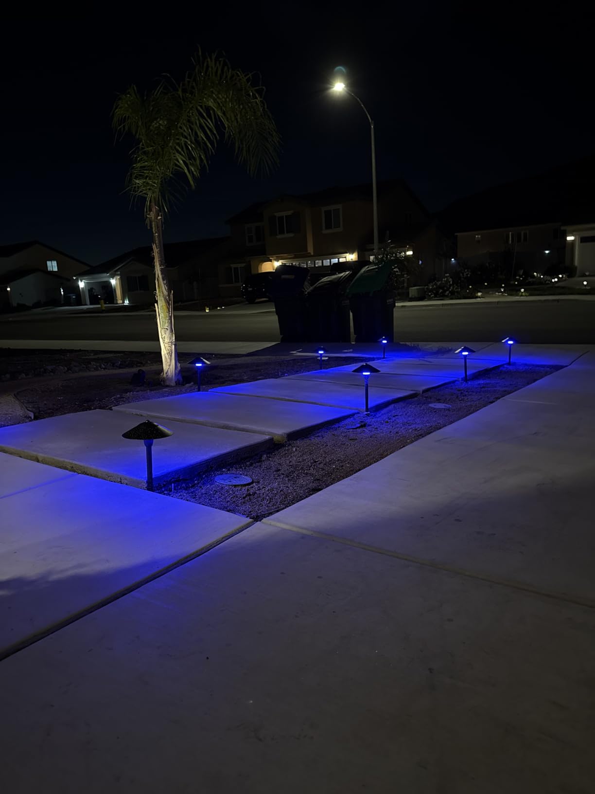 SUNVIE All-in-One RGBW Landscape Lighting Kit, 8 Pack Color Changing Low Voltage Landscape Lights with Connector Transformer 100FT Wire, 3W Multi-Color Pathway Lights for Holiday Walkway Garden Yard customer photo 2