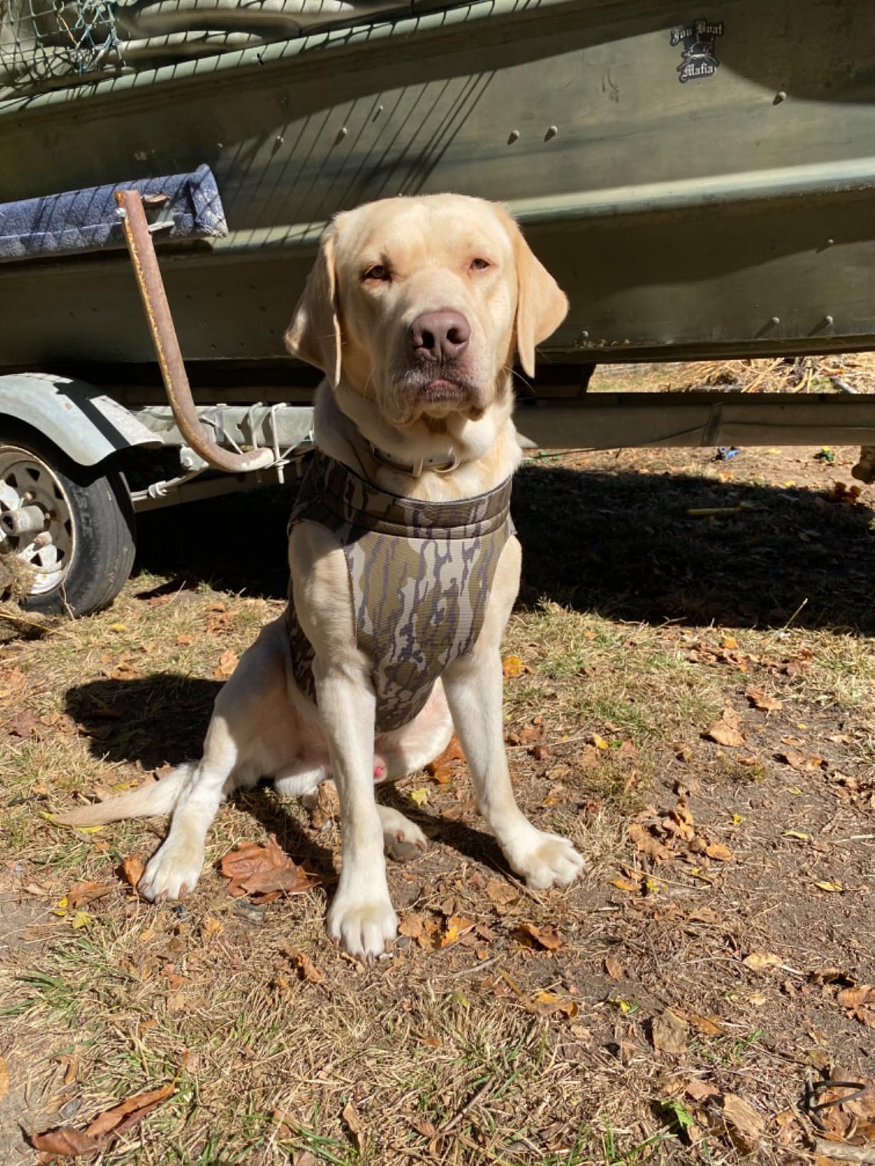 ALPS OutdoorZ Ducks Unlimited Topflight Dog Vest, Large - Mossy Oak Original Bottomland customer photo 2