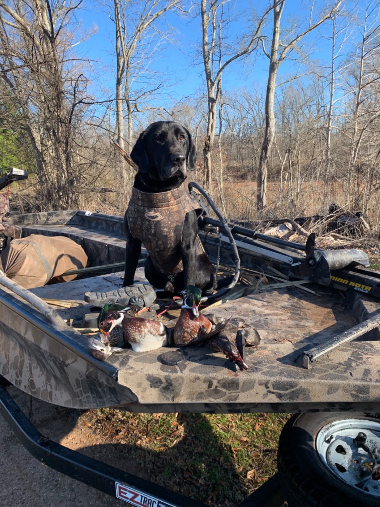 AVERY Boater's Dog Parka - Waterfowl Duck Hunting Durable Zippered 5mm Neoprene Tapered Dog Coat with Integrated Carry Handles, Legacy, Large customer photo 1
