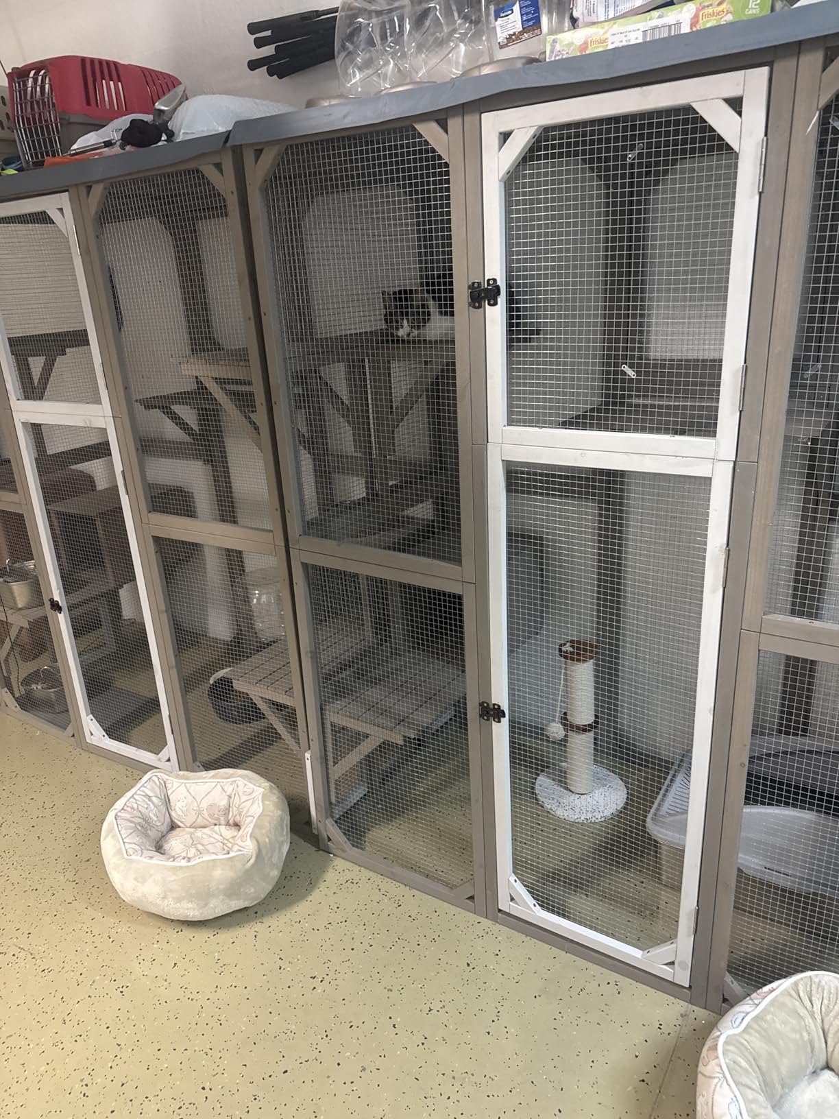Ketive Catio Outdoor Cat Enclosure Large Window Cat House Walk in Kitty Cage with Multi-Level Platforms, Waterproof Roof for Multiple Cats (59