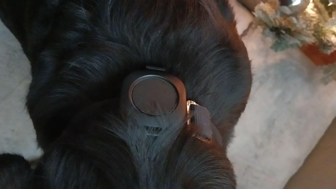 Aorkuler GPS Dog Tracker - Track Up to 3.5 Miles Without Phone or Cell Signal customer photo 2