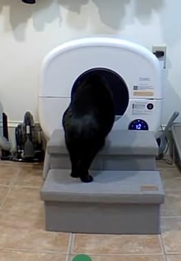 Cumrige Self Cleaning Litter Box, Large Capacity Automatic Cat Litter Box Self Cleaning customer photo 1