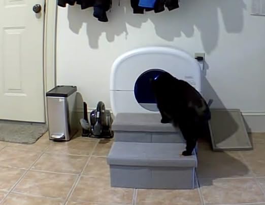 Cumrige Self Cleaning Litter Box, Large Capacity Automatic Cat Litter Box Self Cleaning customer photo 2