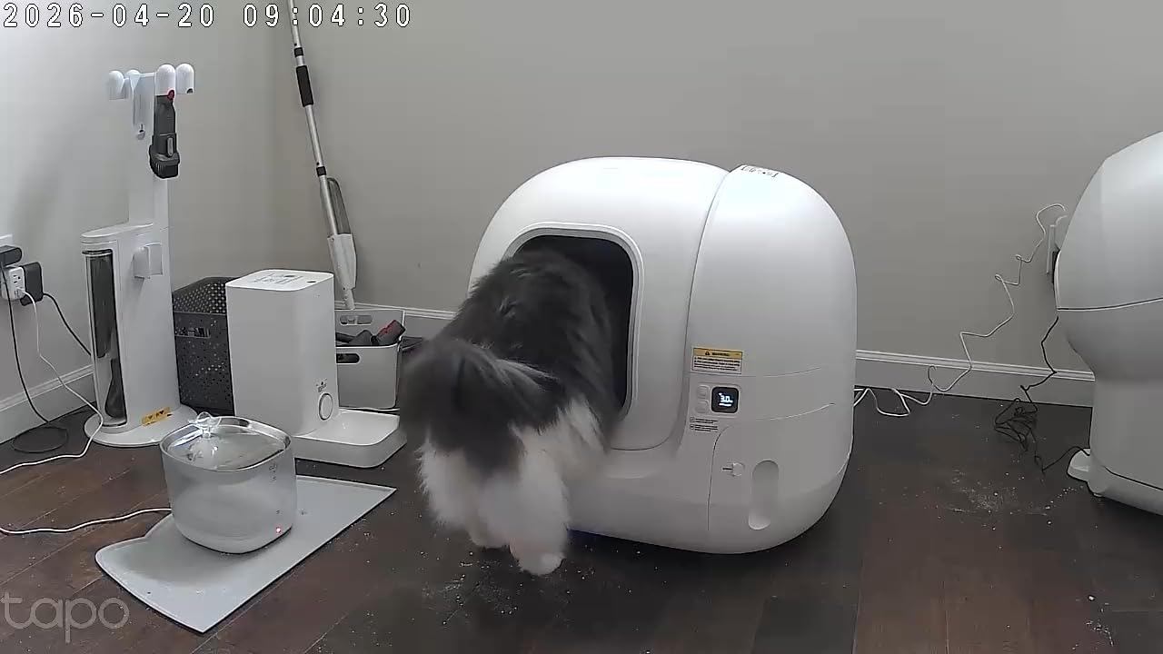 PETKIT PuraMax 2 Automatic Self-Cleaning Cat Litter Box customer photo 2