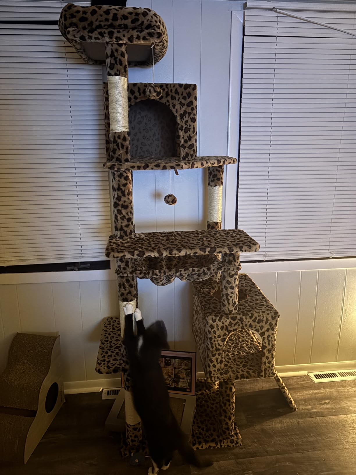 Globlazer F70 Pro Heavy Duty Cat Tree Tower for Indoor Cats Large Adult customer photo 1
