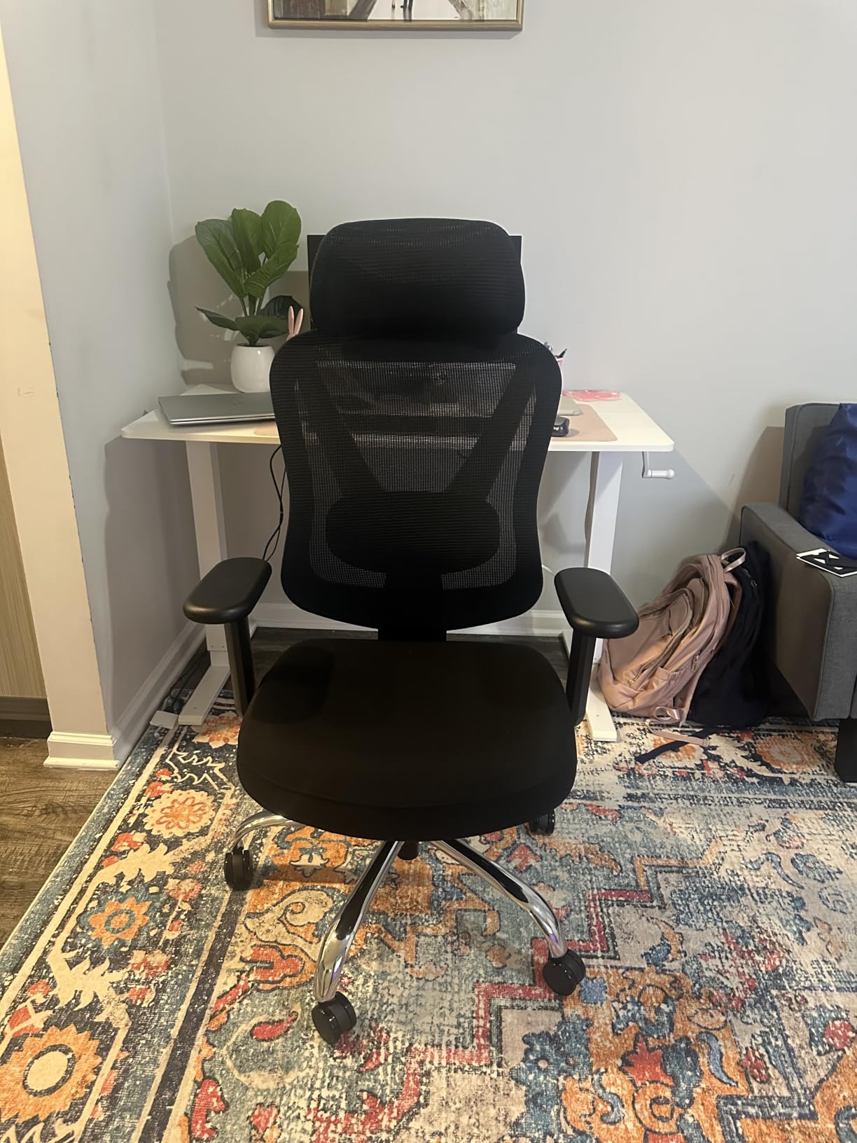 HOLLUDLE Ergonomic Mesh Office Chair - 3D Adjustable Lumbar Support & 3D Armrests V-Shaped Back customer photo 1