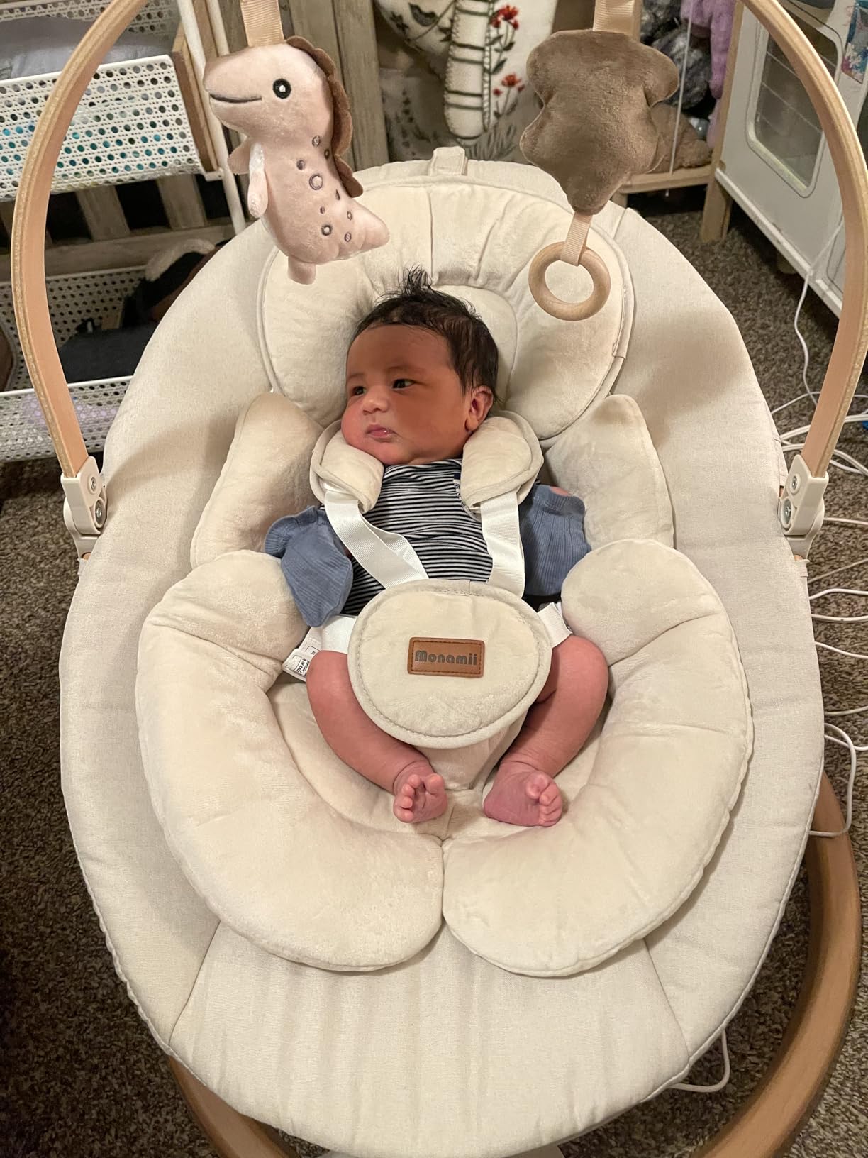 Monamii Baby Swing, Bluetooth Infant Swing with Music Speaker, 5 Speeds and Remote Control, Indoor & Outdoor Use (Black) customer photo 1