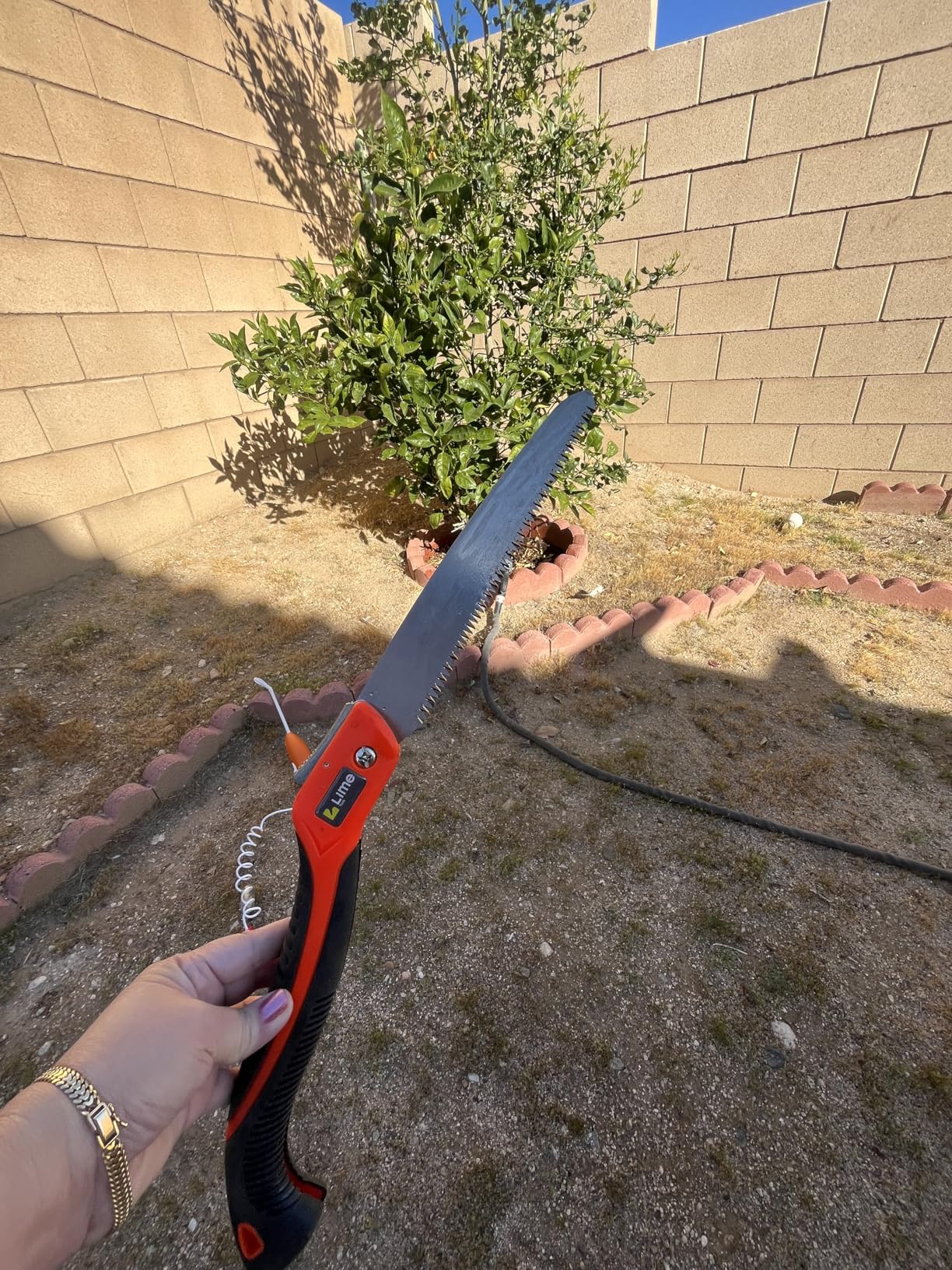 GROWIT Folding Camping saw 11 Inch - Heavy Duty Pruning Saw with Triple-Cut SK5 Blade, 7 TPI Razor Teeth for Tree Trimming, Wood Cutting, Camping, Bushcraft, and Gardening customer photo 2