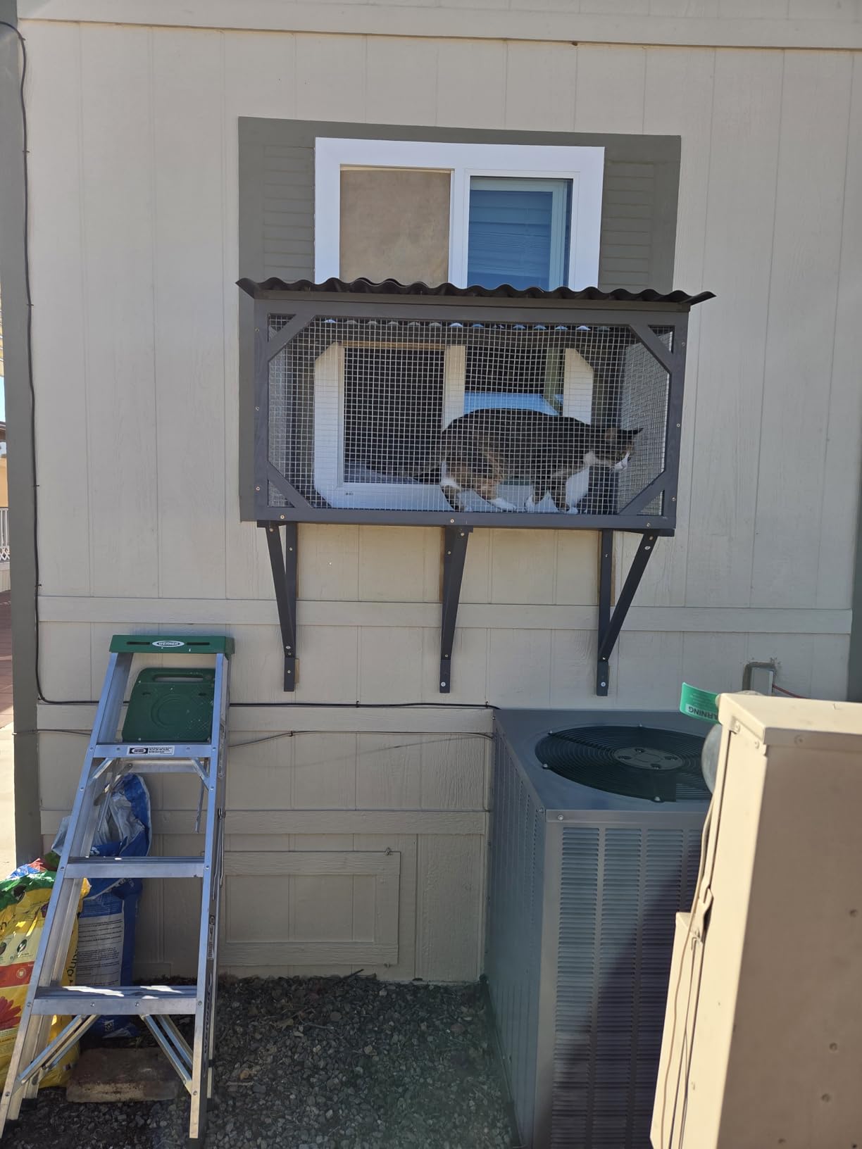 Catio Outdoor Cat Enclosure Window Perch for Sunbathing, Napping, Overlooking Hammock customer photo 1