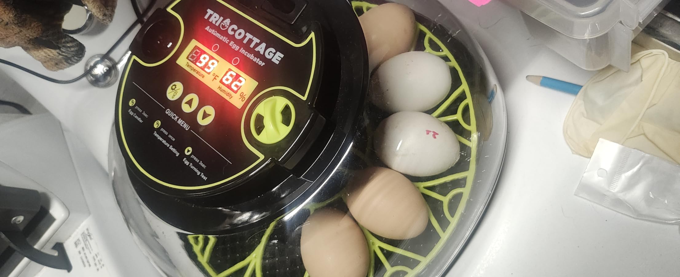 Incubators for Hatching Eggs 12 Egg Incubator with Automatic Egg Turning and Humidity Control, Egg Candler, Auto Water Replenishment, for Chicken Eggs and Quail Egg M12H customer photo 1