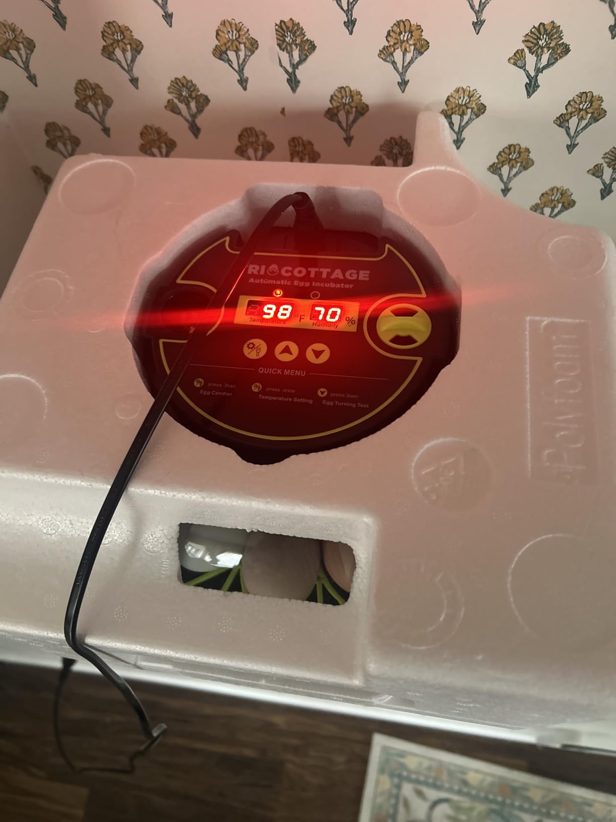 Incubators for Hatching Eggs 12 Egg Incubator with Automatic Egg Turning and Humidity Control, Egg Candler, Auto Water Replenishment, for Chicken Eggs and Quail Egg M12H customer photo 2