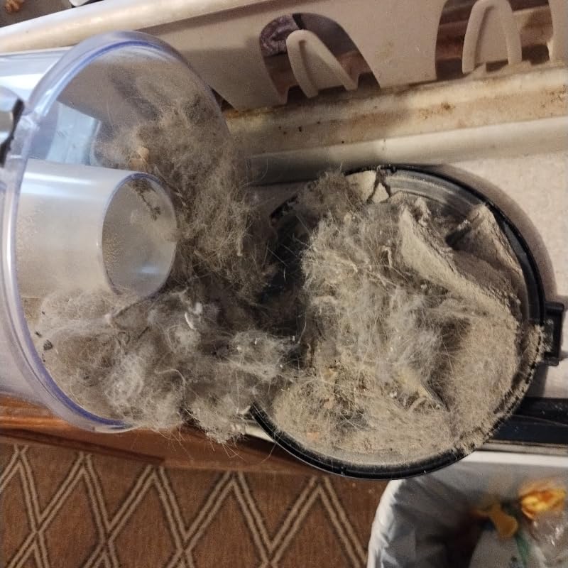 Bissell Pet Hair Eraser Allergen Lift-Off with Powerful Suction, HEPA, Tangle-Free Brush Roll, 39883 customer photo 1