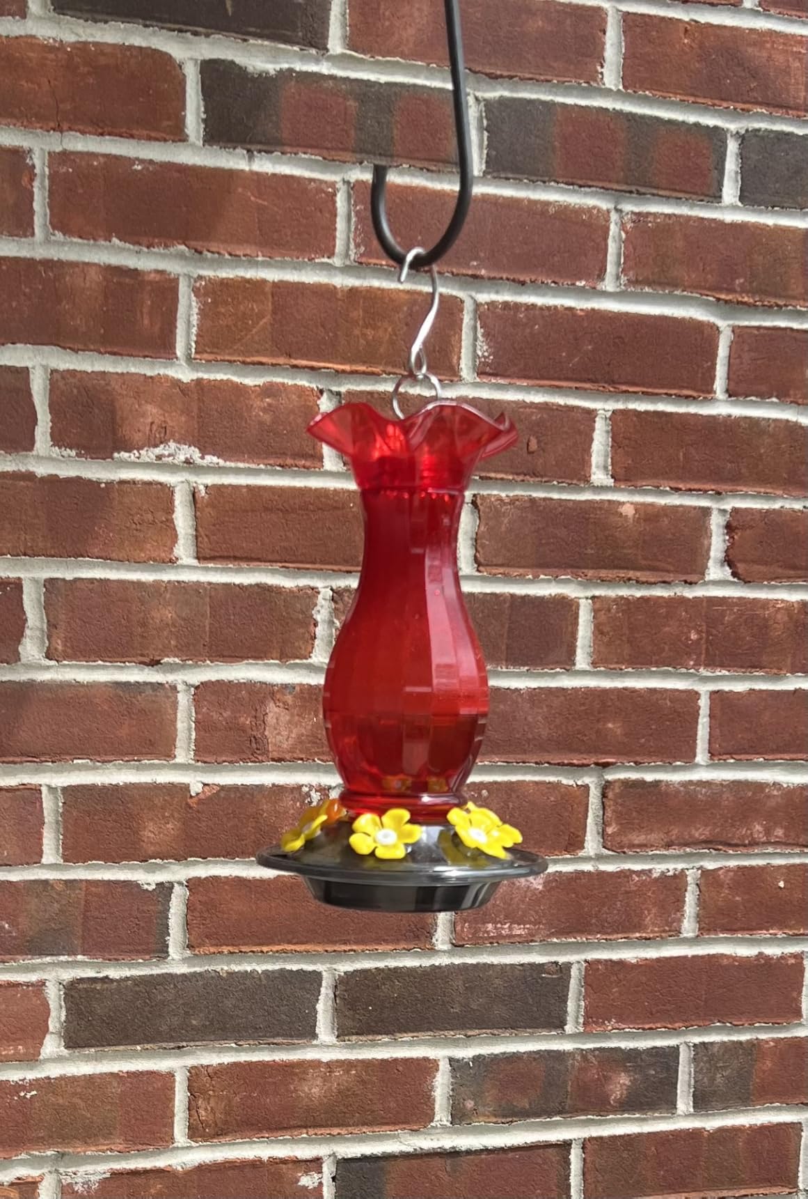 Jealoeur Hummingbird Feeder for Outdoors Hanging, 18 OZ Humming Birds Feeders with 6 Bee Guard Feeding Ports & Built-in Ant Moat, Easy to Clean, Durable Outdoor Garden Decor (Red 1 Pack-C) customer photo 1