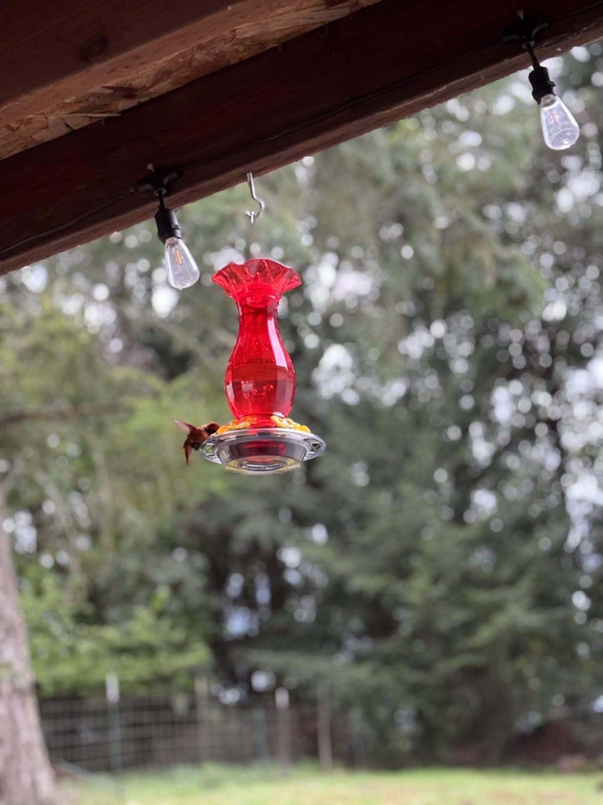 Jealoeur Hummingbird Feeder for Outdoors Hanging, 18 OZ Humming Birds Feeders with 6 Bee Guard Feeding Ports & Built-in Ant Moat, Easy to Clean, Durable Outdoor Garden Decor (Red 1 Pack-C) customer photo 2